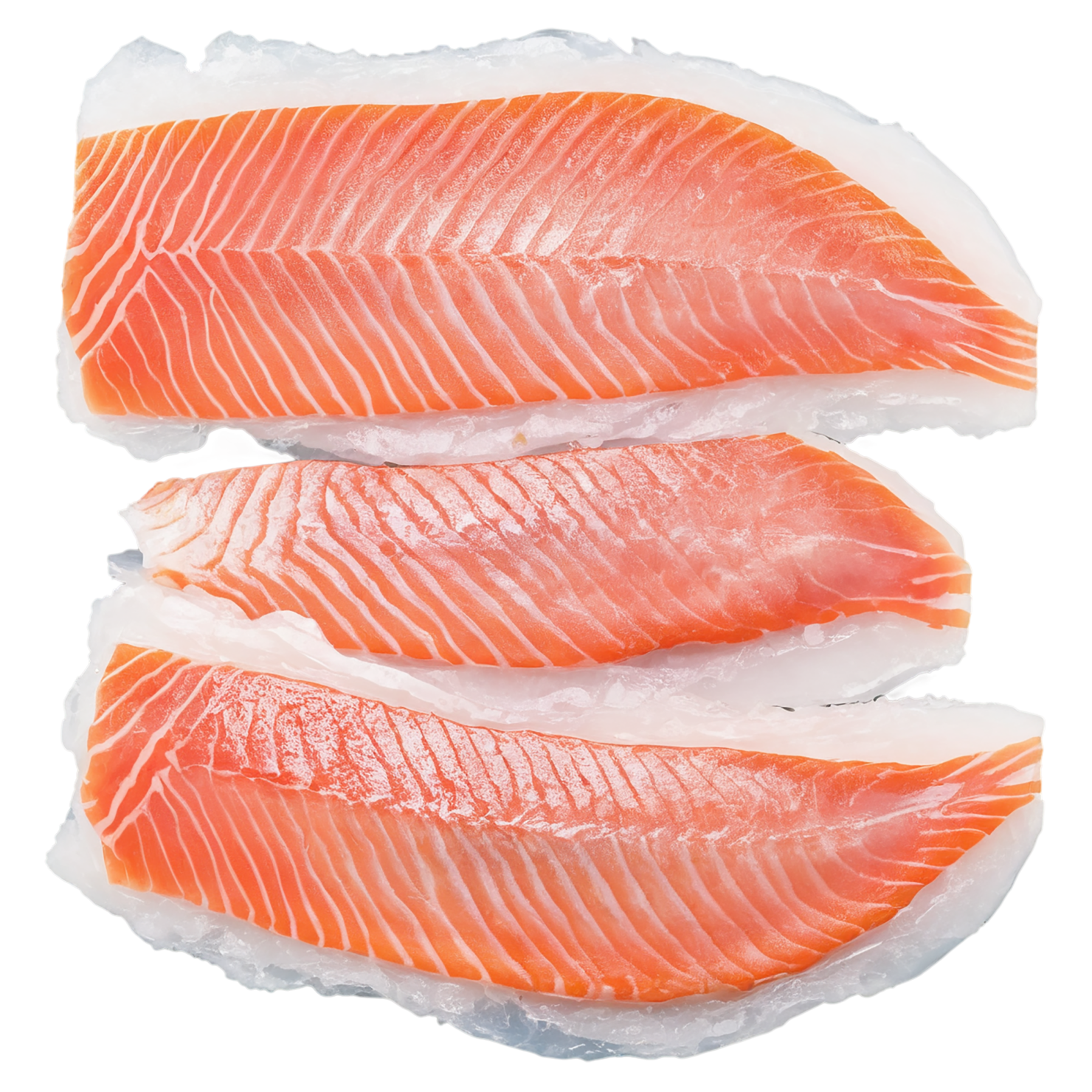 Fish fillet proteins isolated on transparent background #8536