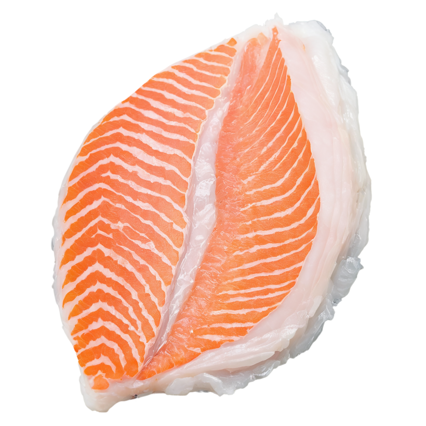 Fish fillet proteins isolated on transparent background #8538