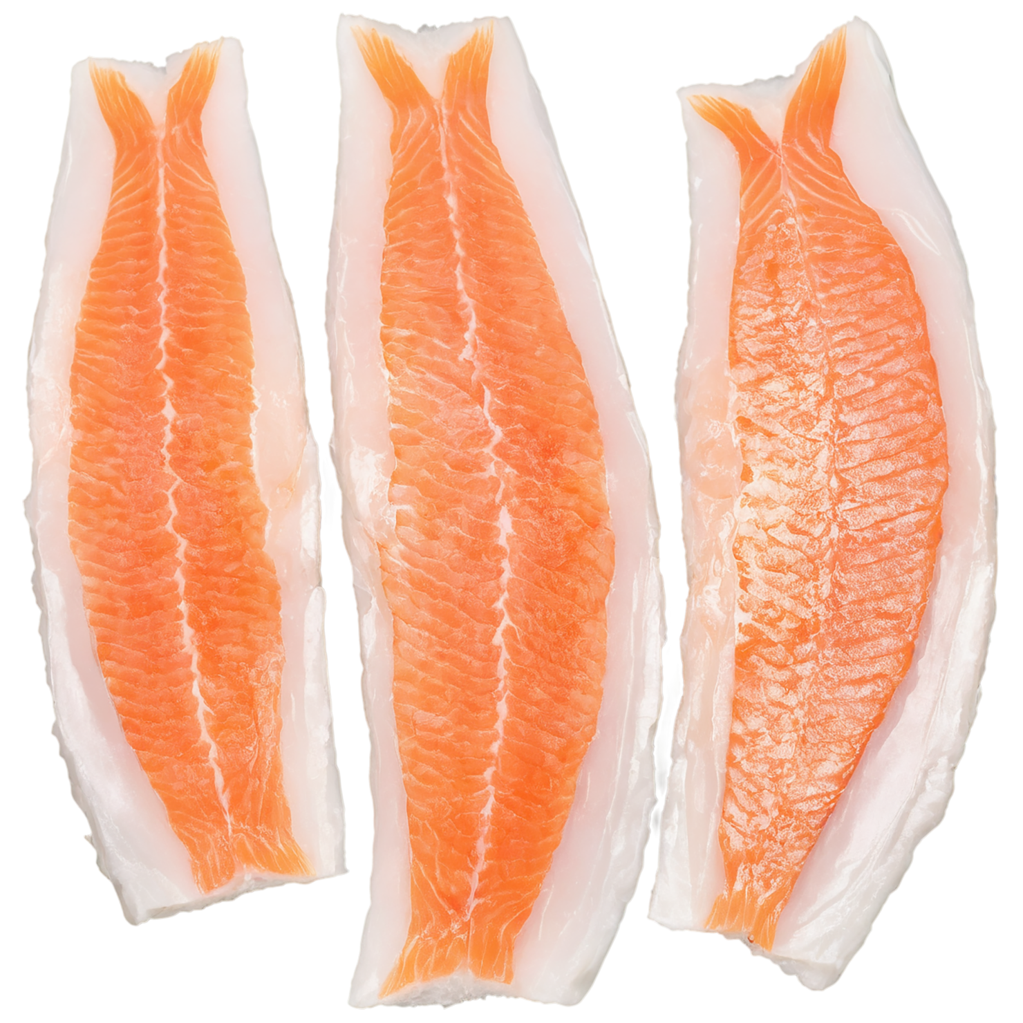 Fish fillet proteins isolated on transparent background #8542