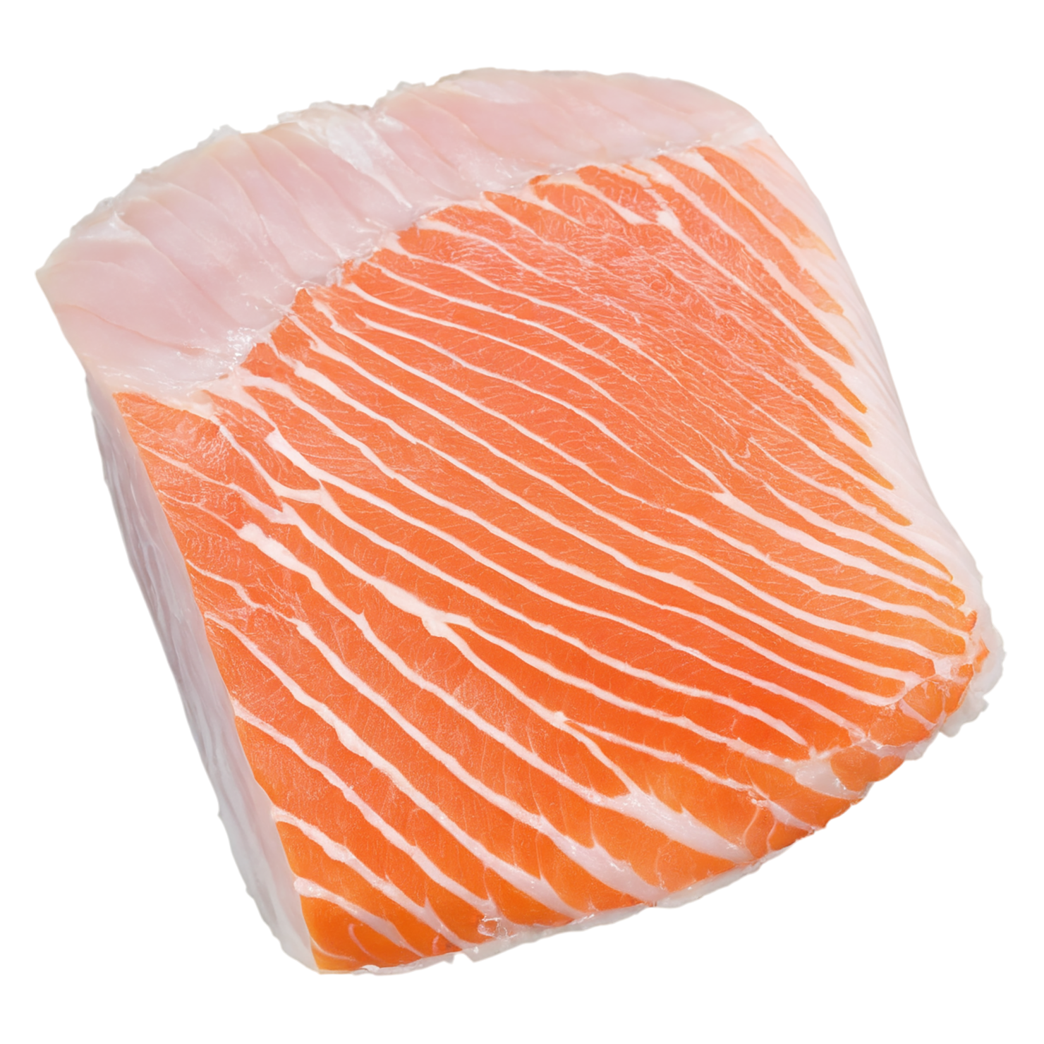 Fish fillet proteins isolated on transparent background #8543