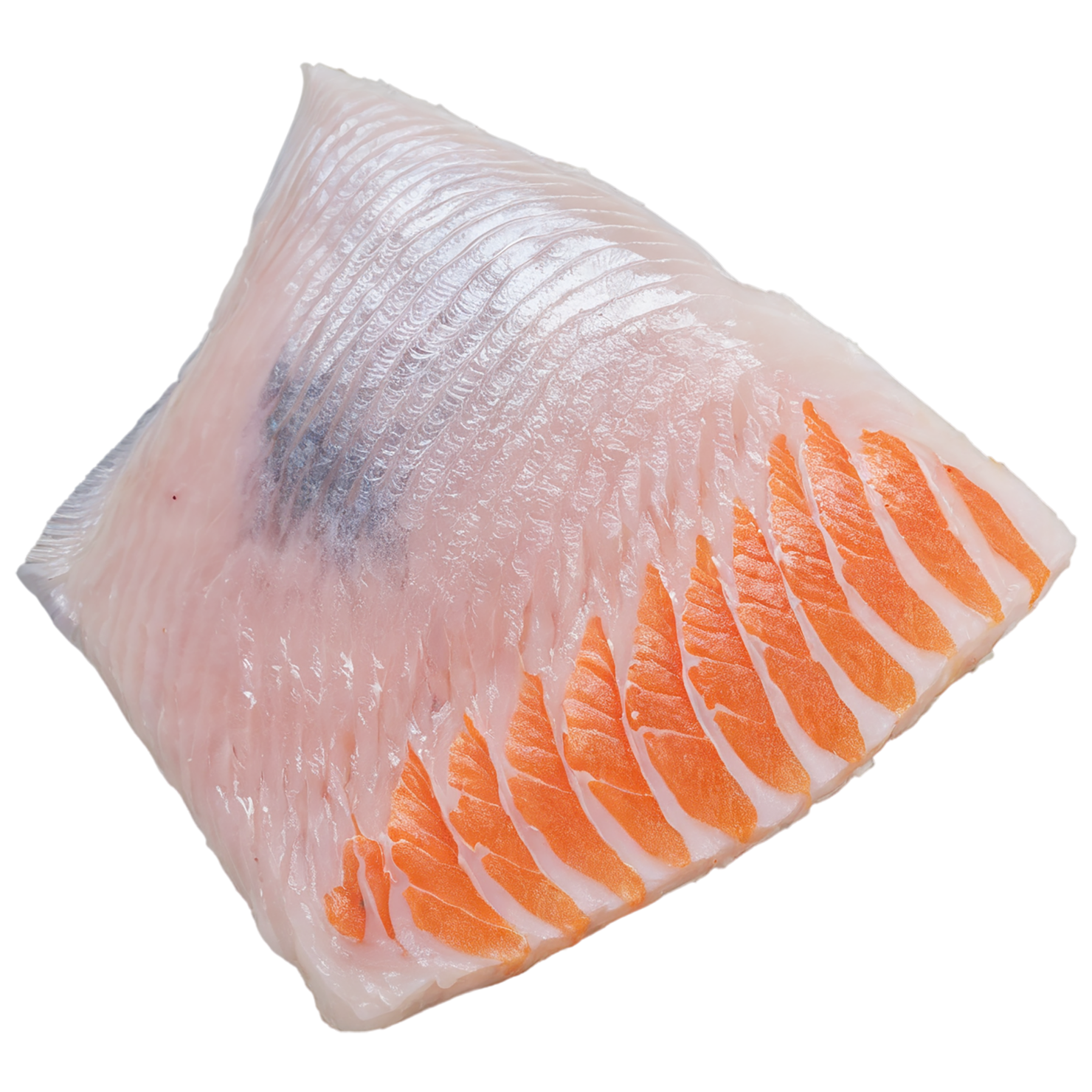 Fish fillet proteins isolated on transparent background #8545