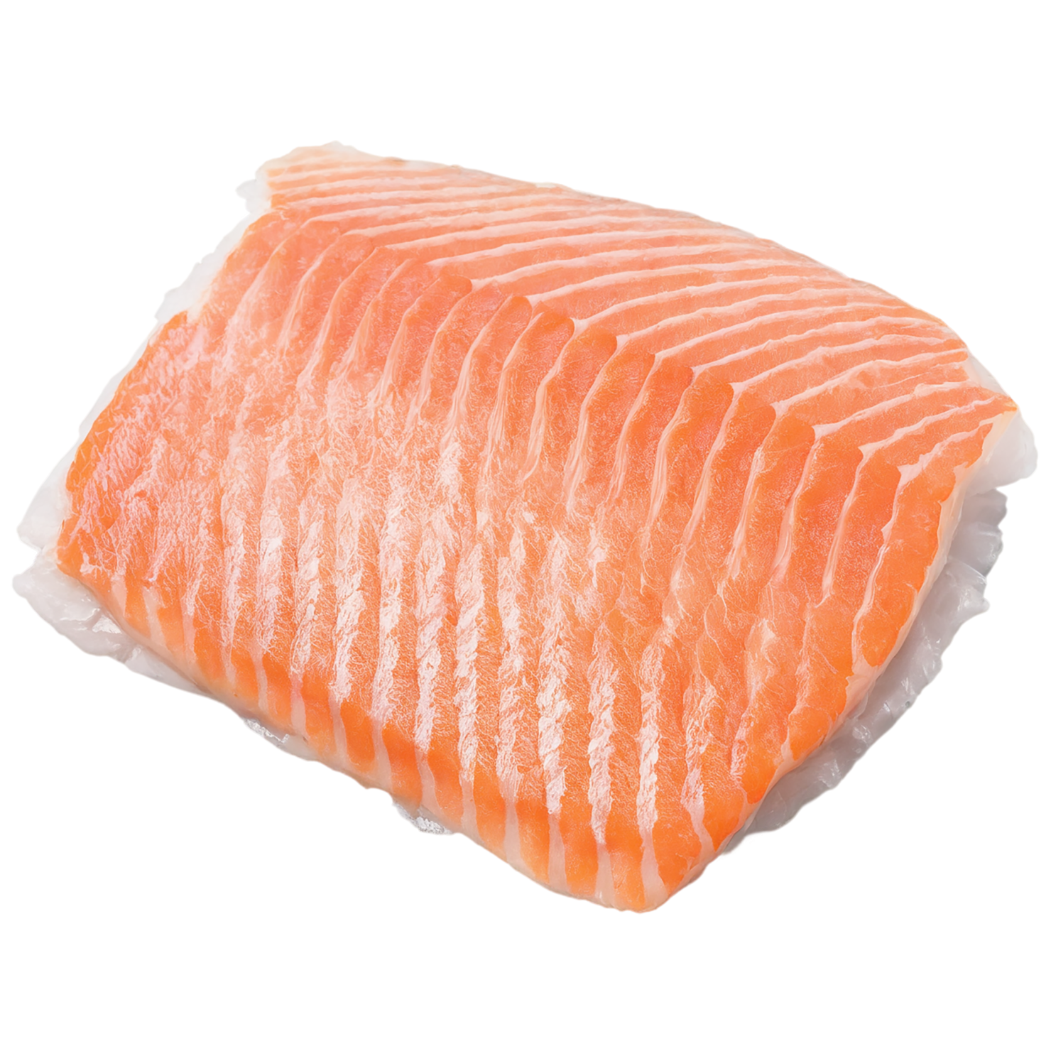 Fish fillet proteins isolated on transparent background #8546