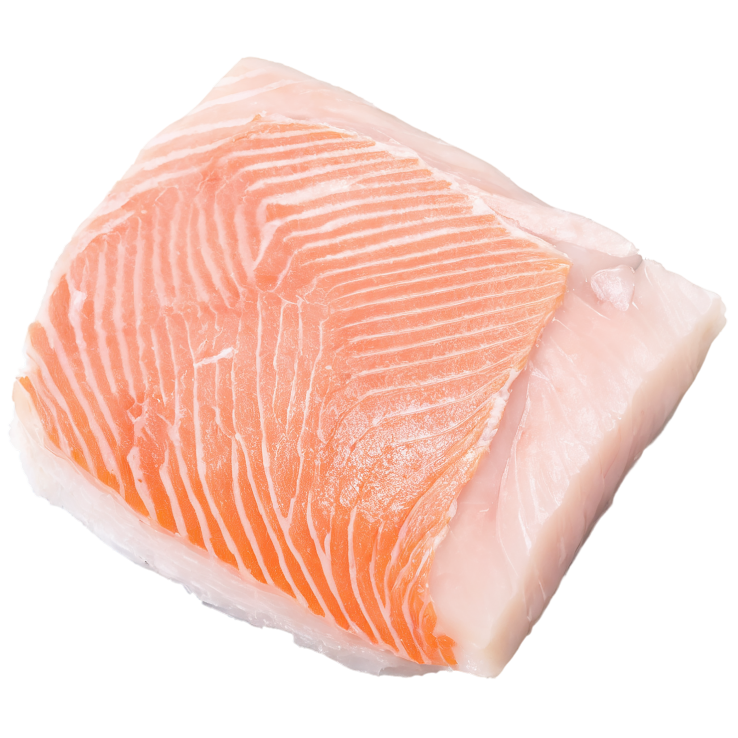 Fish fillet proteins isolated on transparent background #8549