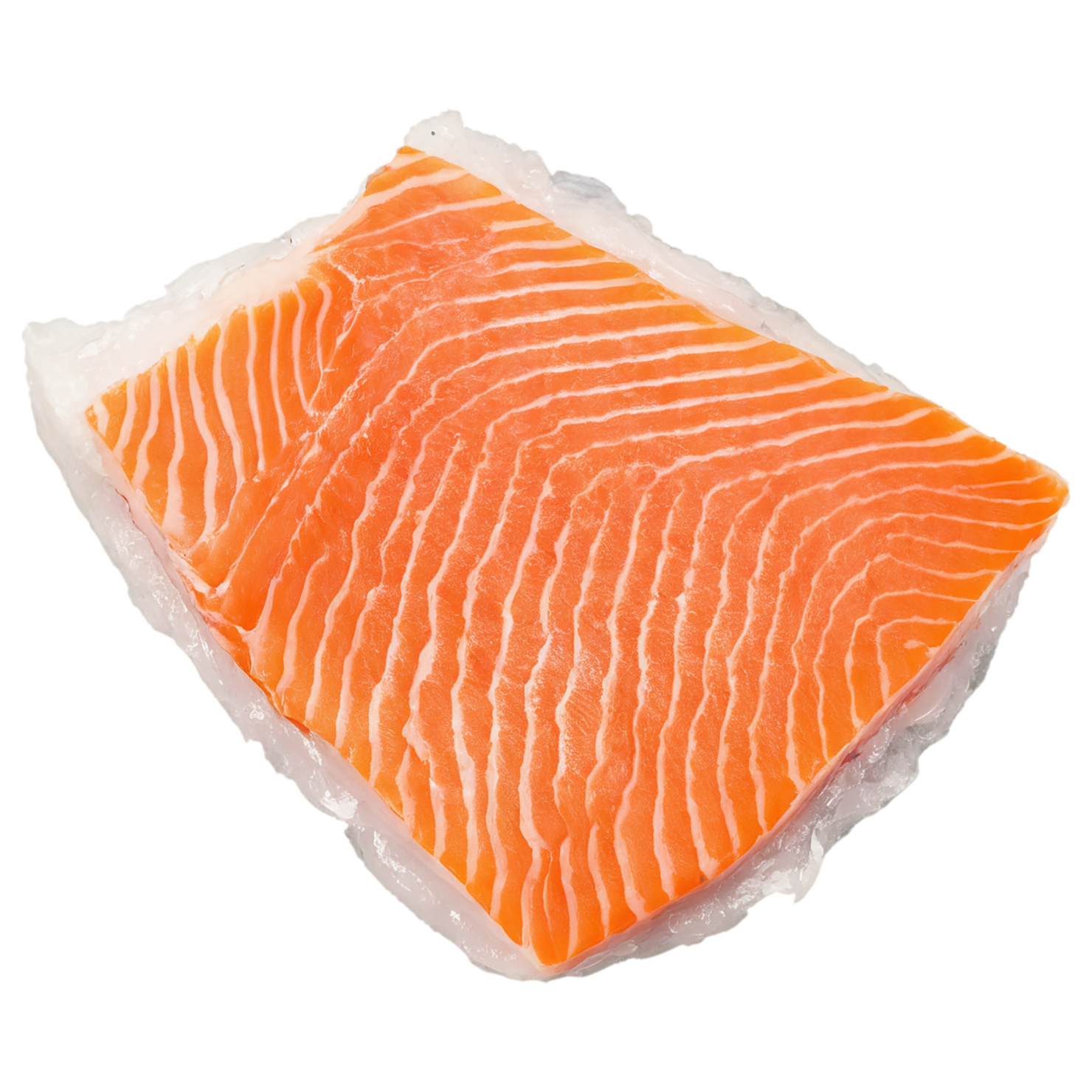 Fish fillet proteins isolated on transparent background #8550