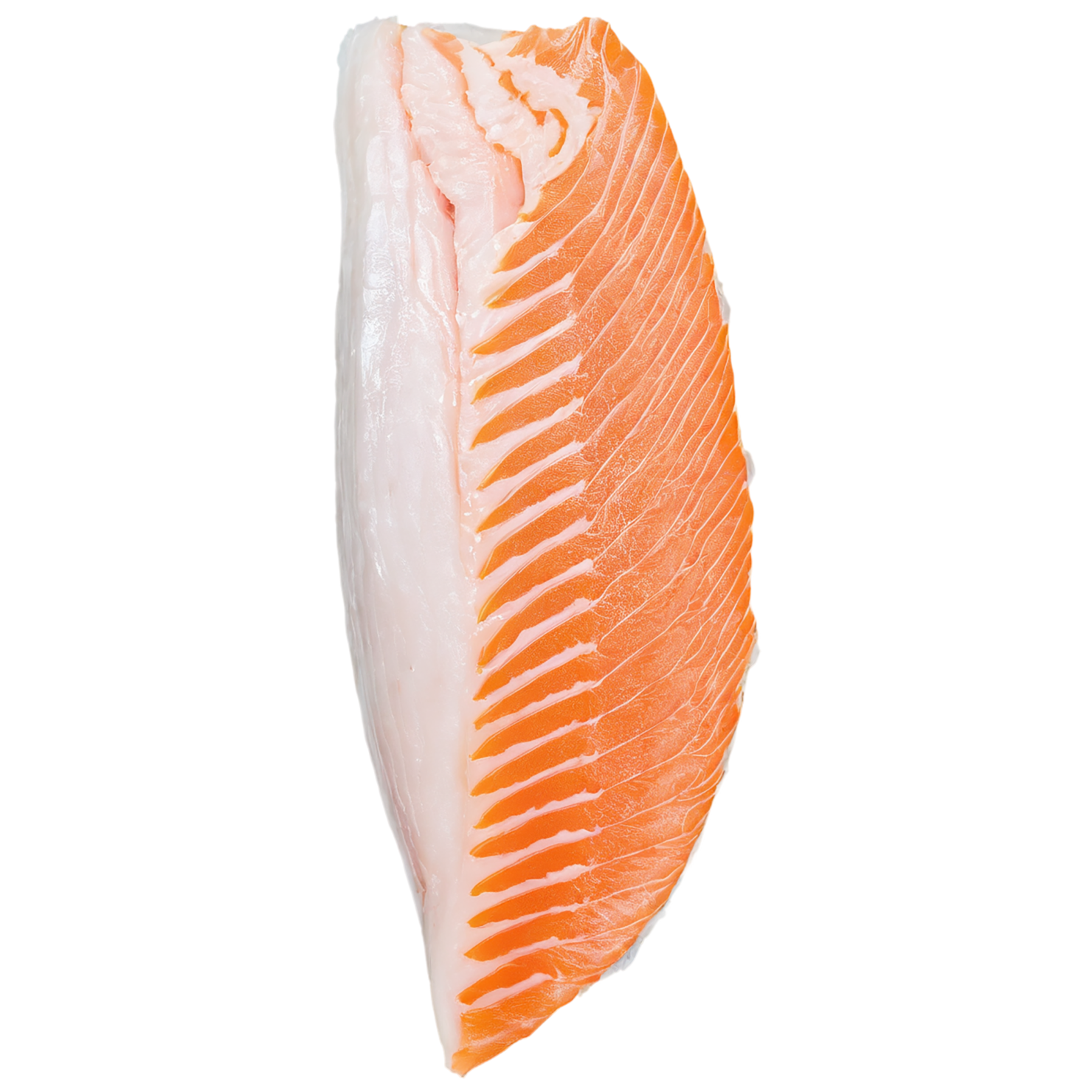 Fish fillet proteins isolated on transparent background #8551