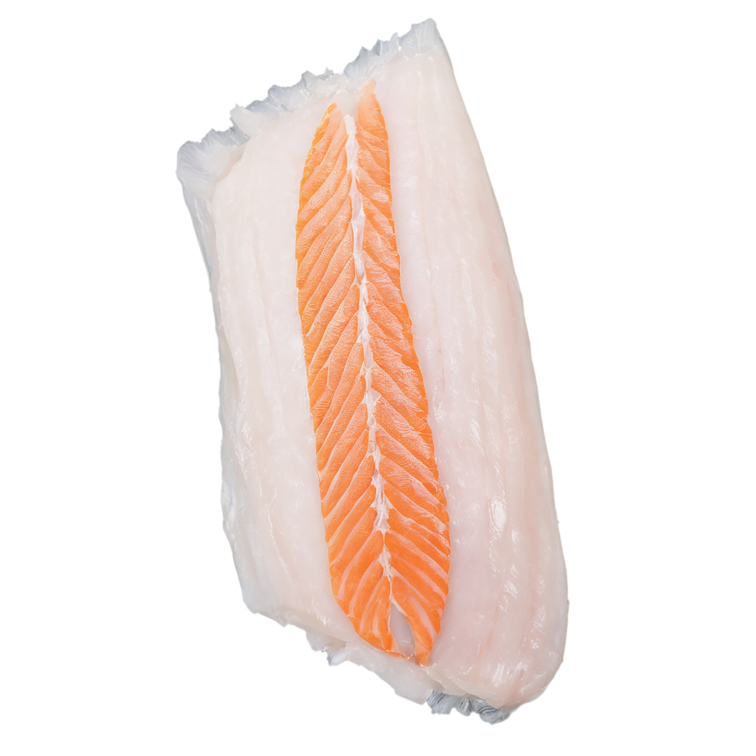 Fish fillet proteins isolated on transparent background #8553
