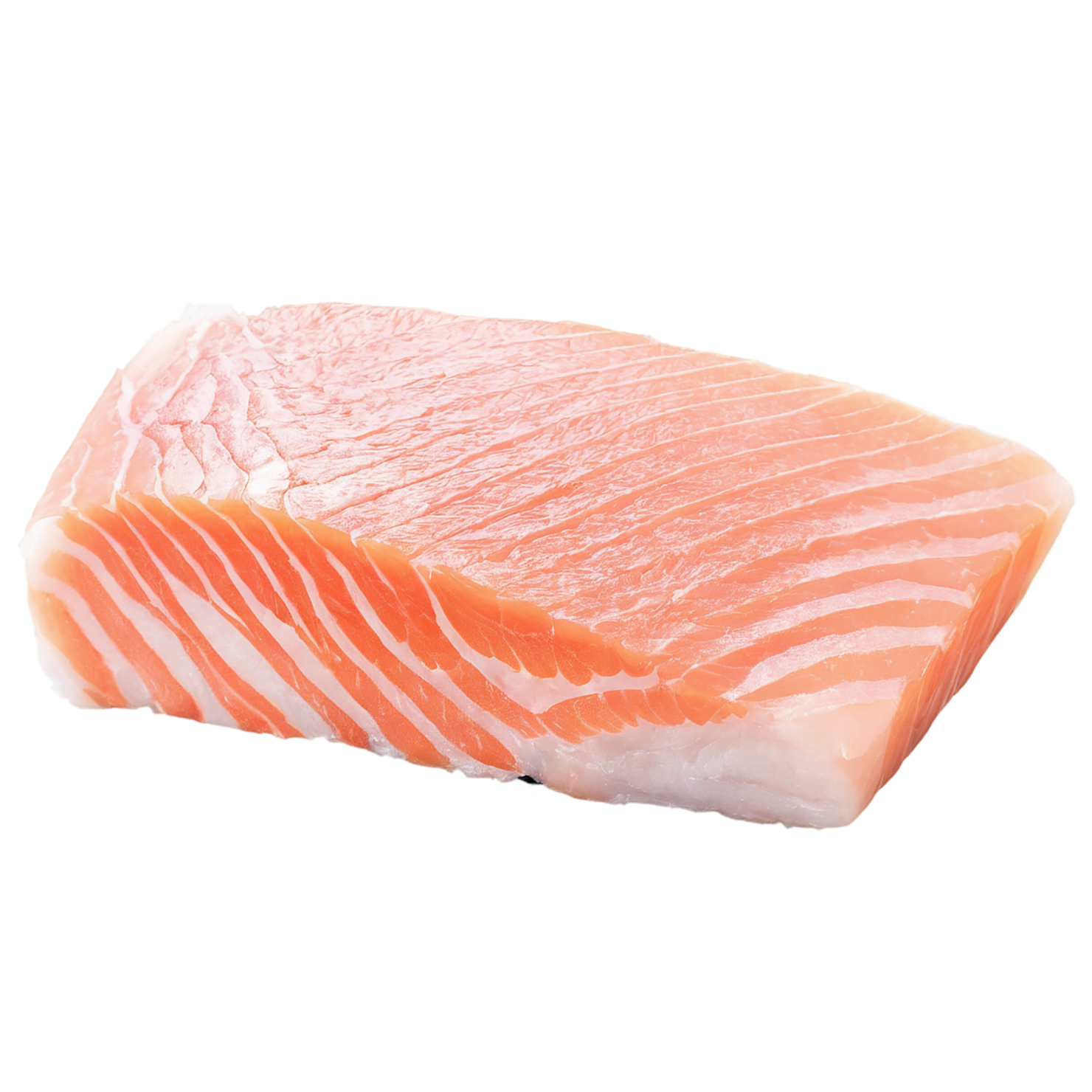 Fish fillet proteins isolated on transparent background #8554
