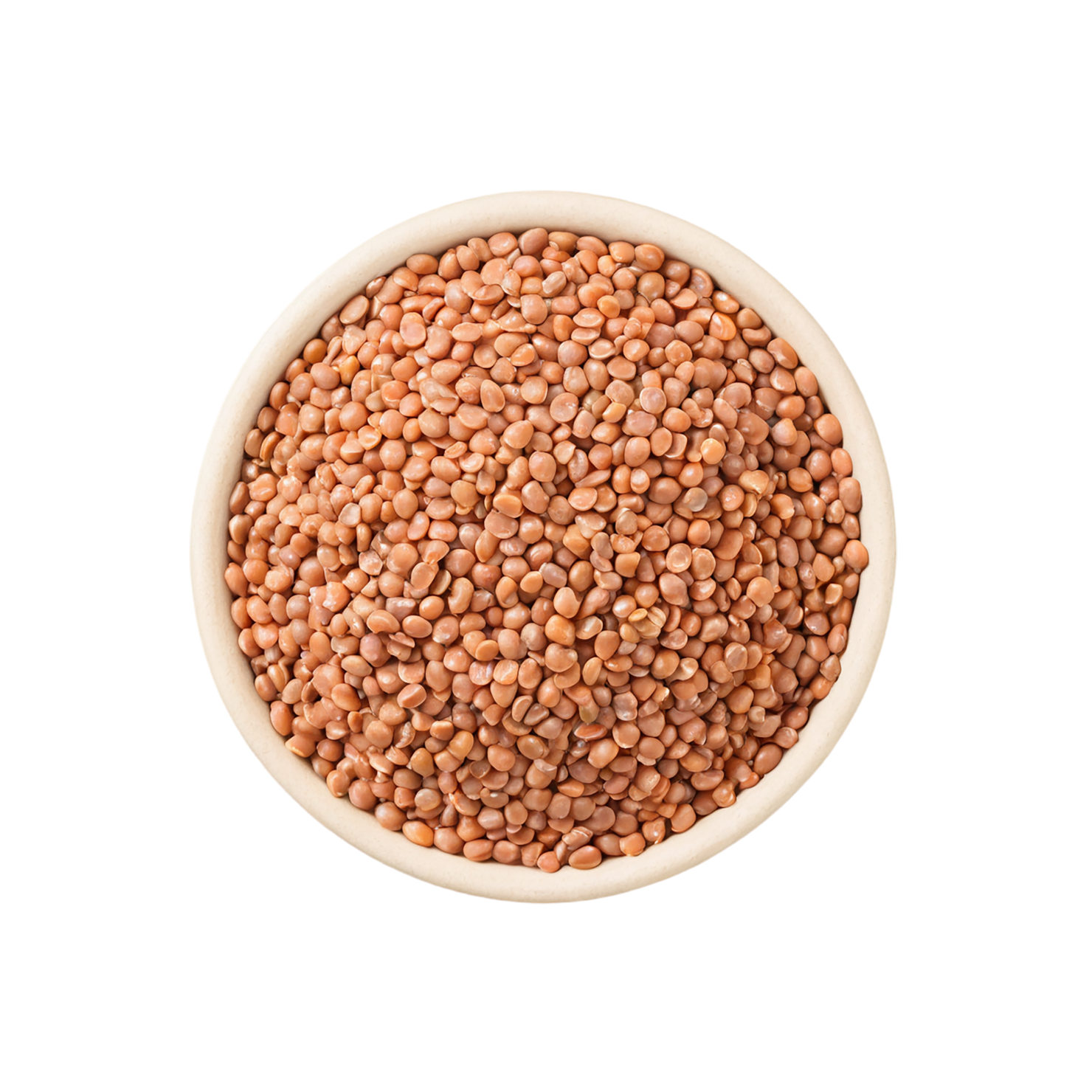 Lentils proteins isolated on transparent background #8555