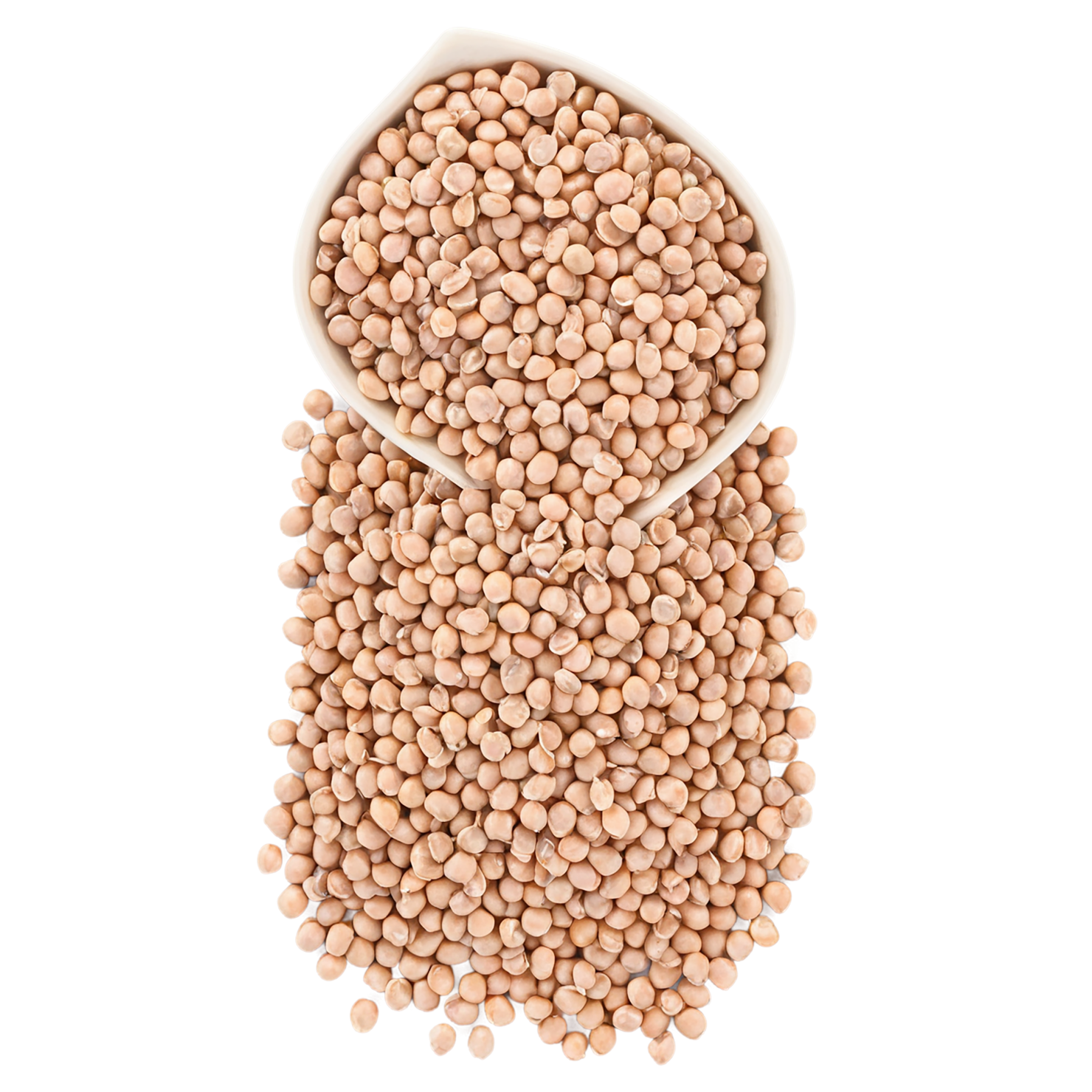 Lentils proteins isolated on transparent background #8556