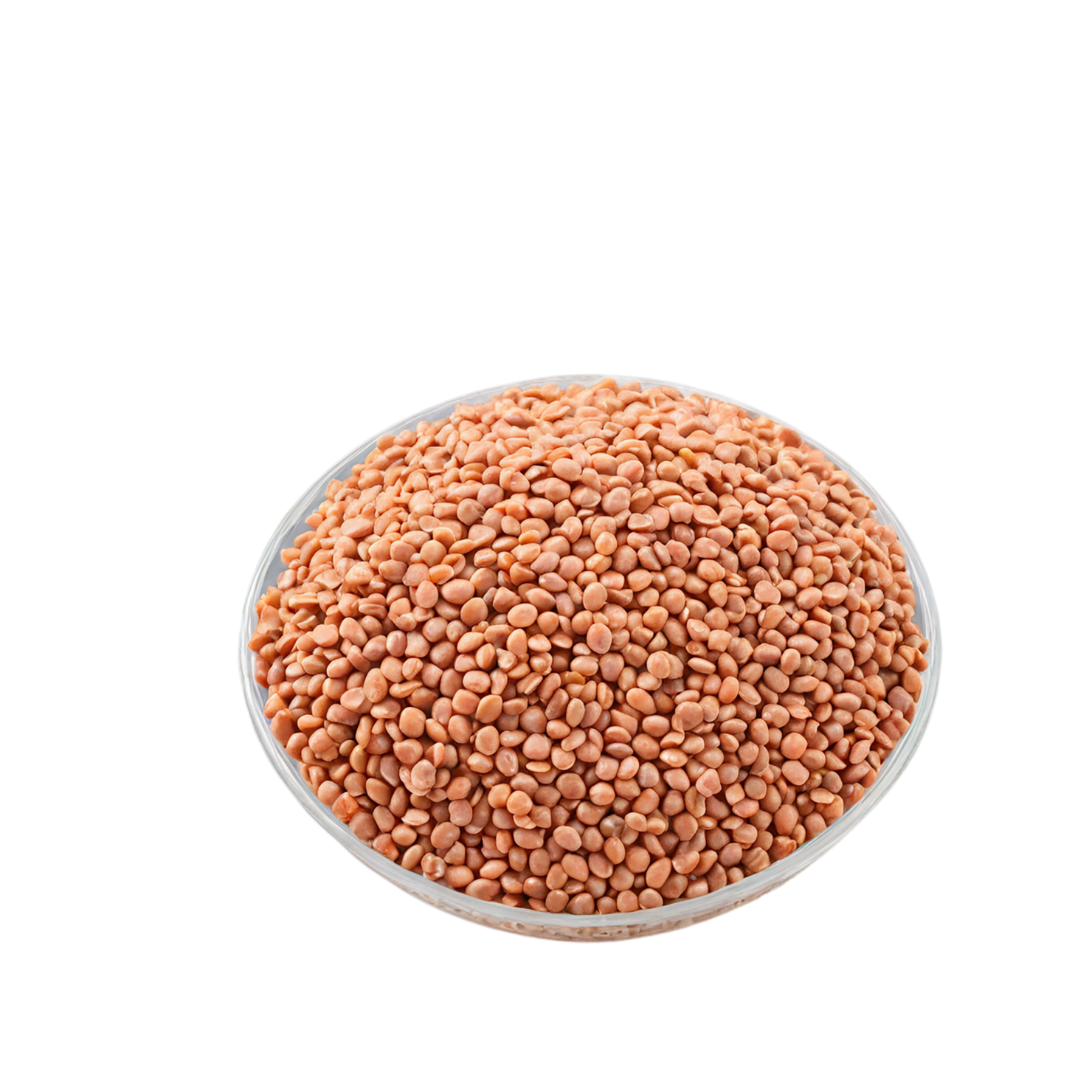 Lentils proteins isolated on transparent background #8557