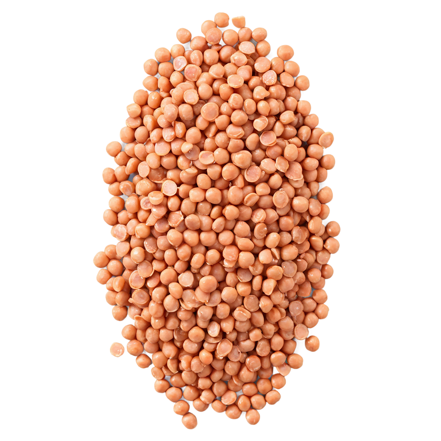 Lentils proteins isolated on transparent background #8558