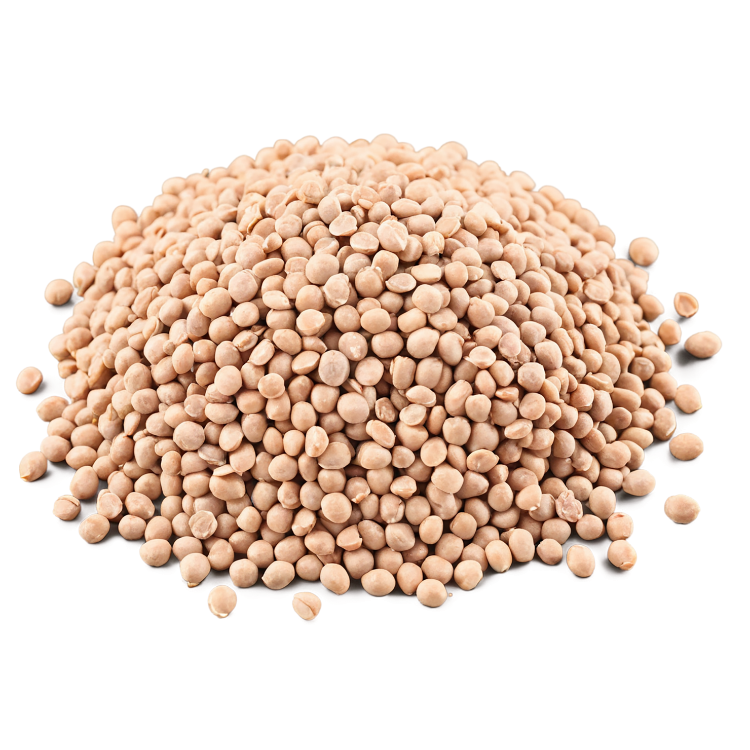 Lentils proteins isolated on transparent background #8559