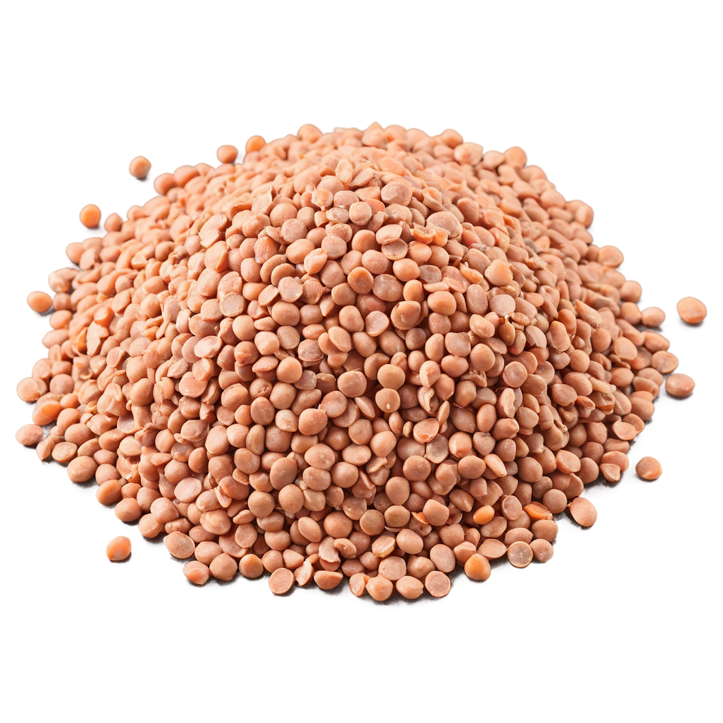 Lentils proteins isolated on transparent background #8560