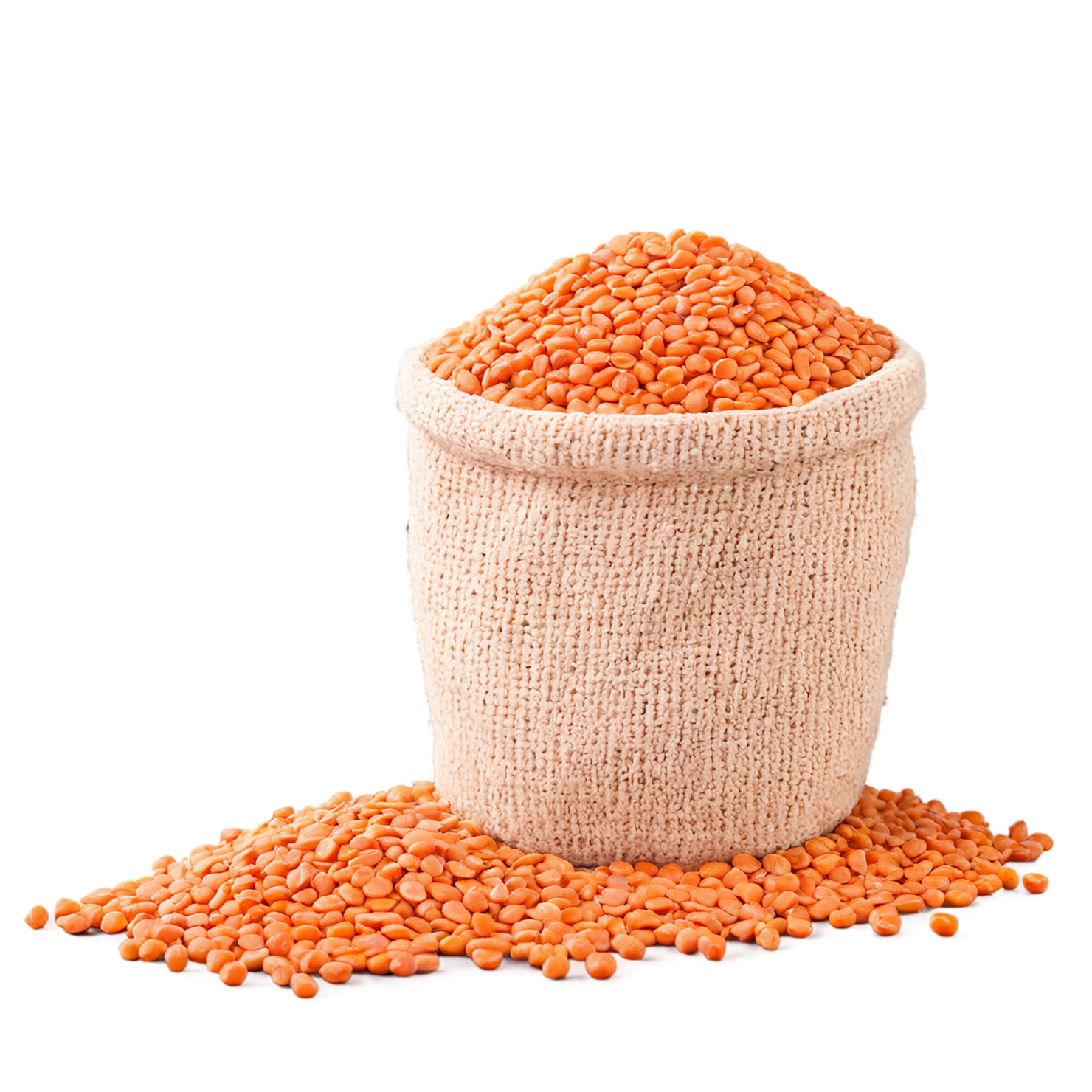 Lentils proteins isolated on transparent background #8561
