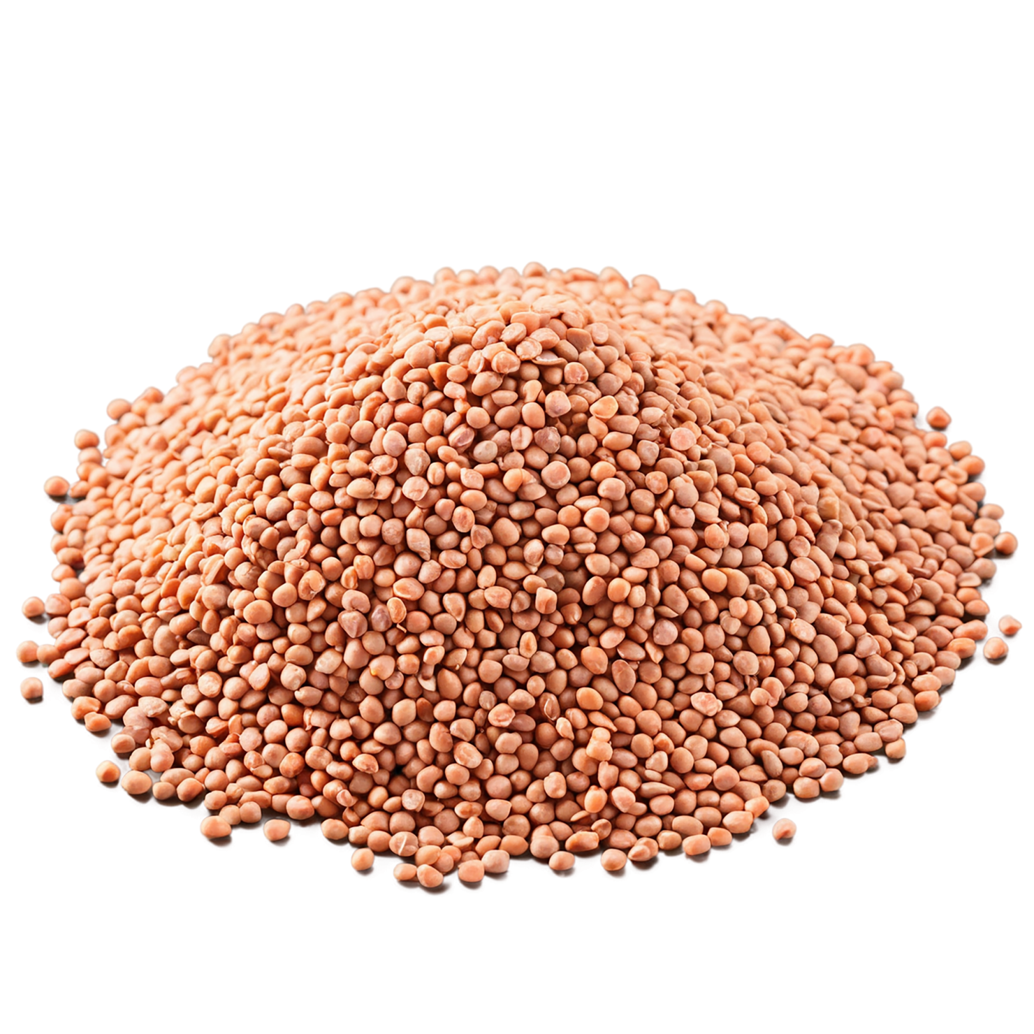 Lentils proteins isolated on transparent background #8563