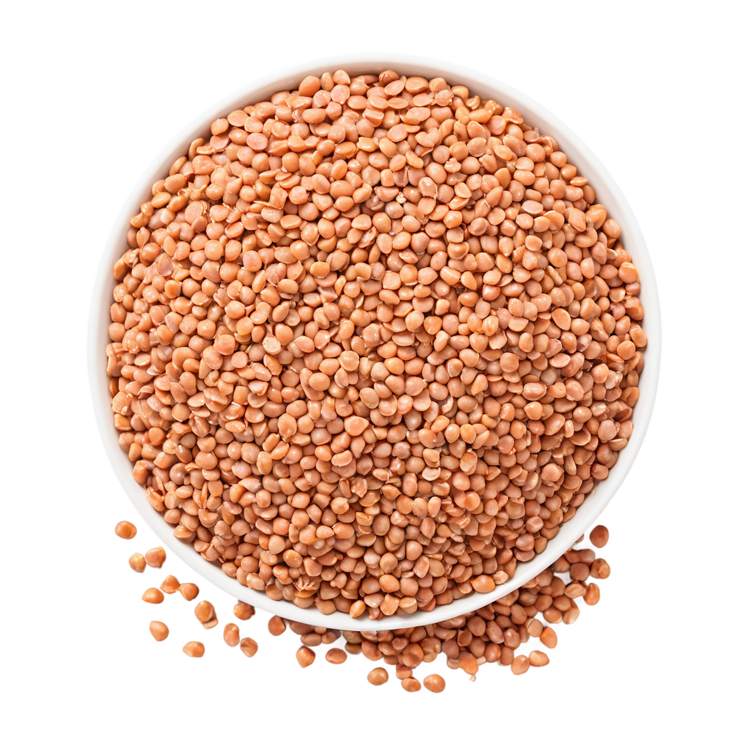 Lentils proteins isolated on transparent background #8566