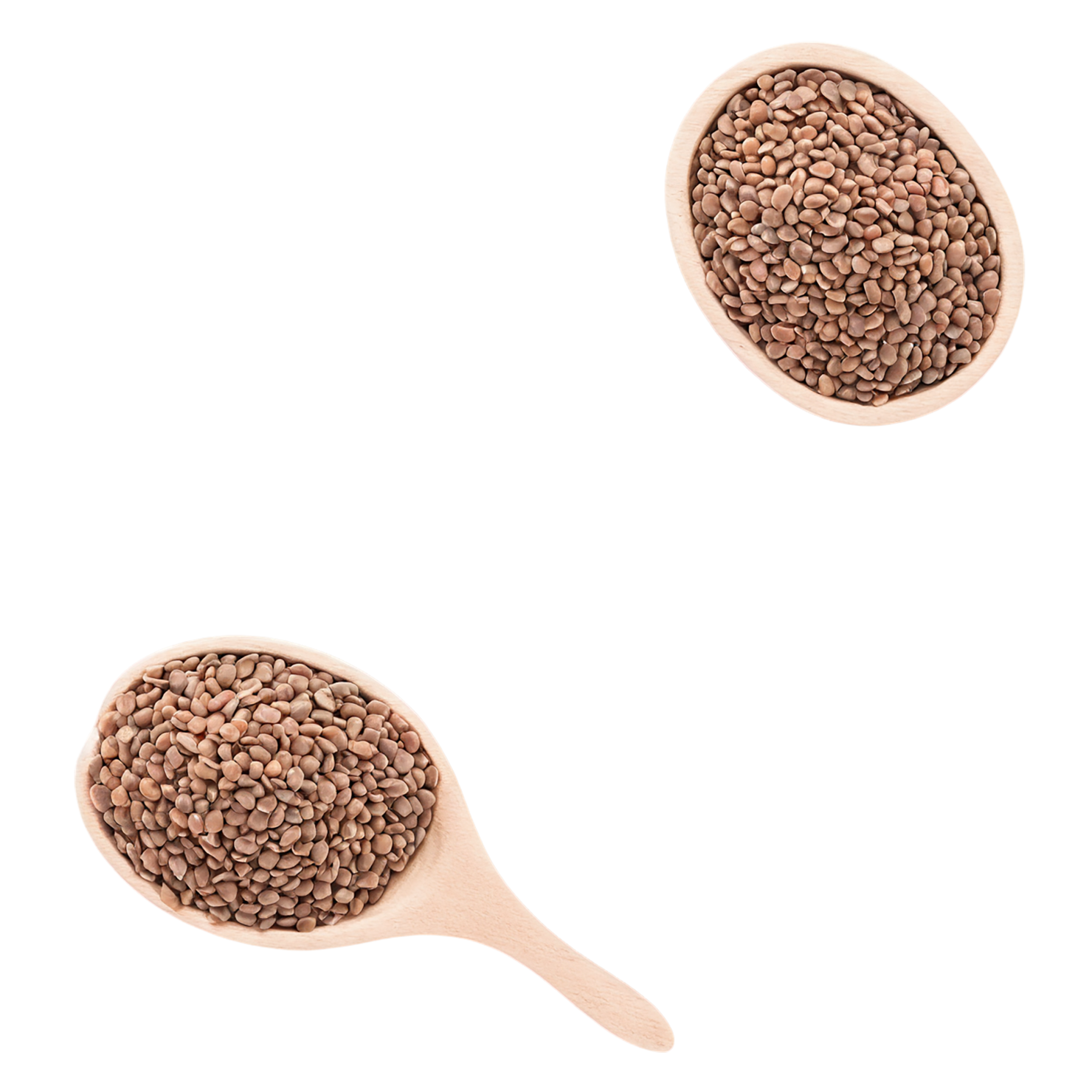 Lentils proteins isolated on transparent background #8569