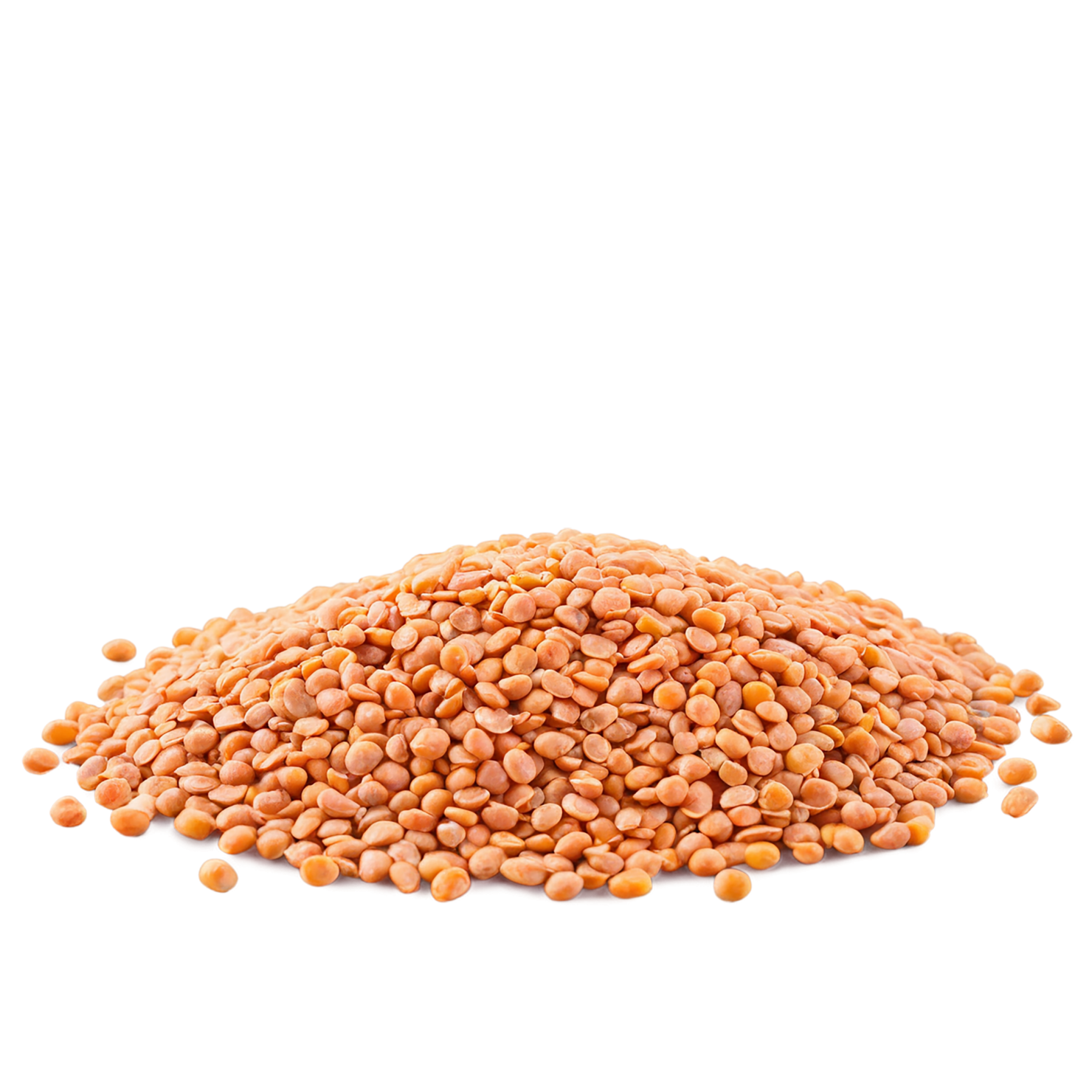 Lentils proteins isolated on transparent background #8572