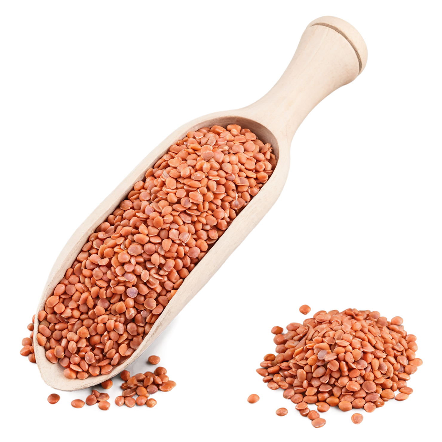 Lentils proteins isolated on transparent background #8573