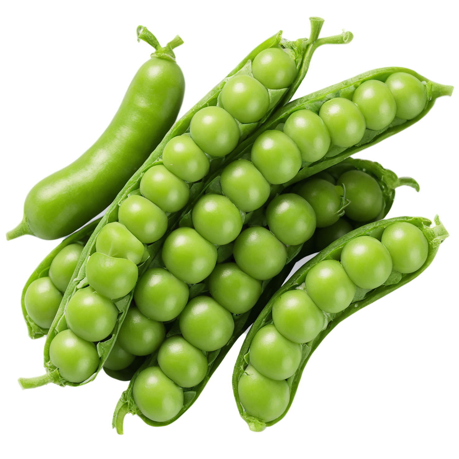 Peas proteins isolated on transparent background #8574