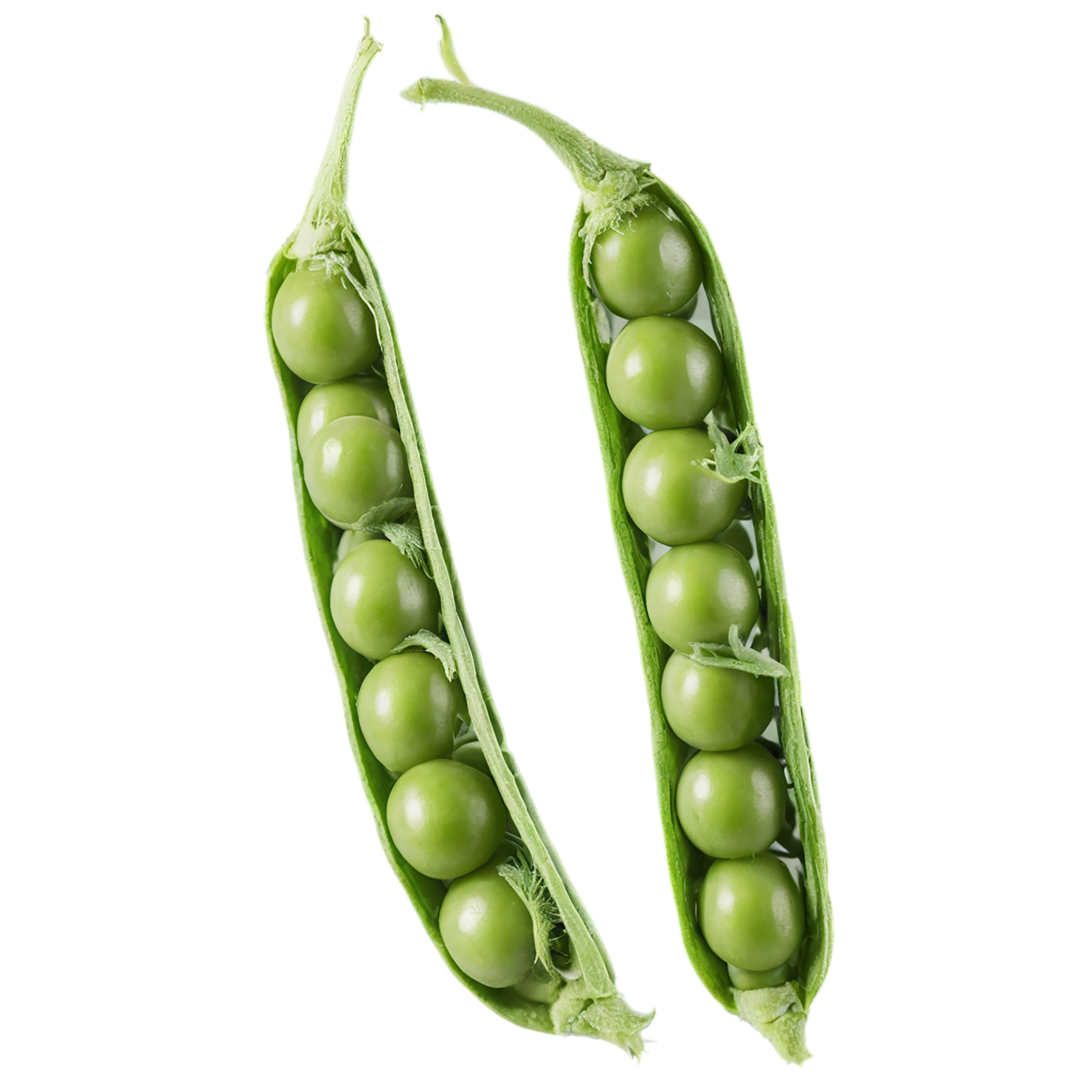 Peas proteins isolated on transparent background #8575