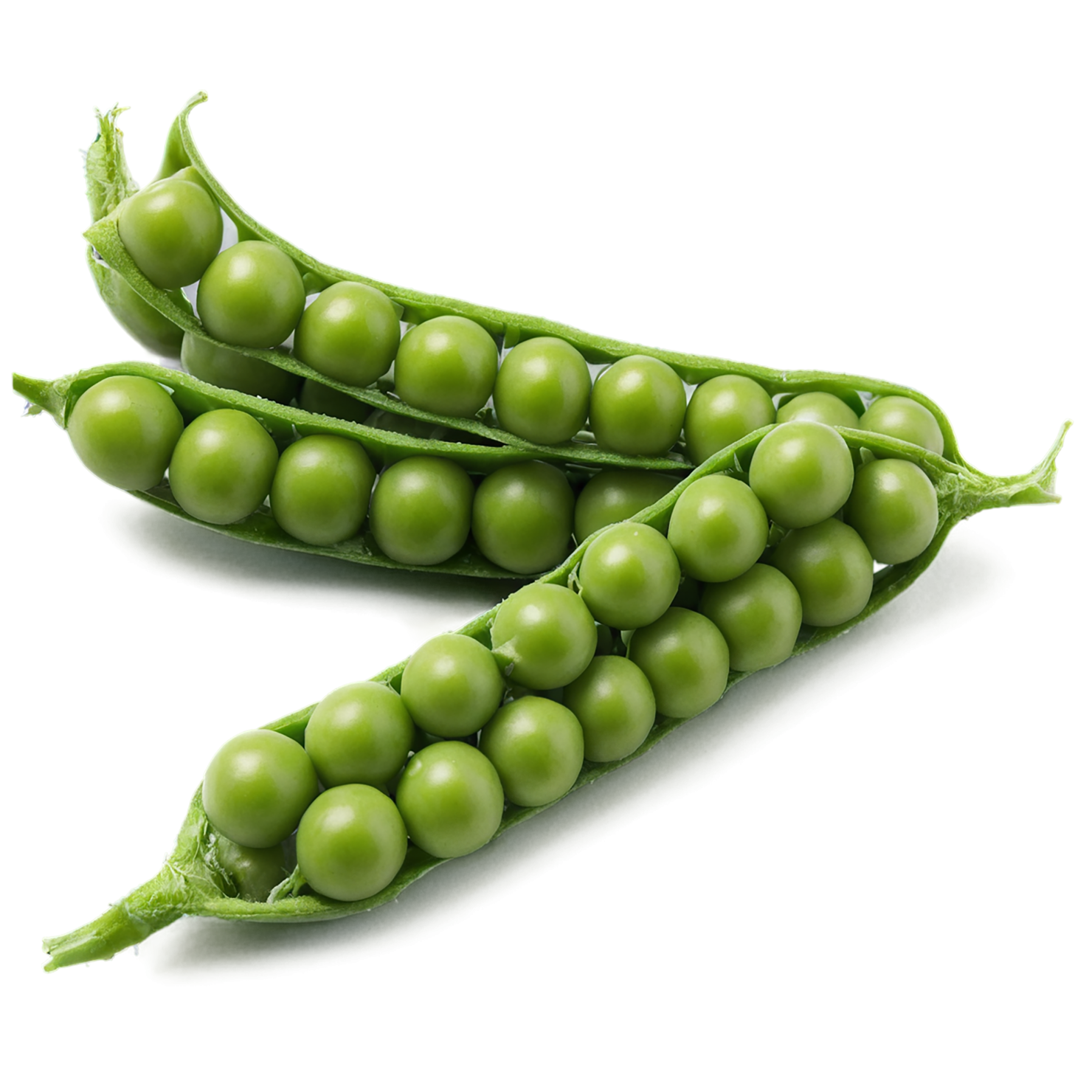 Peas proteins isolated on transparent background #8577