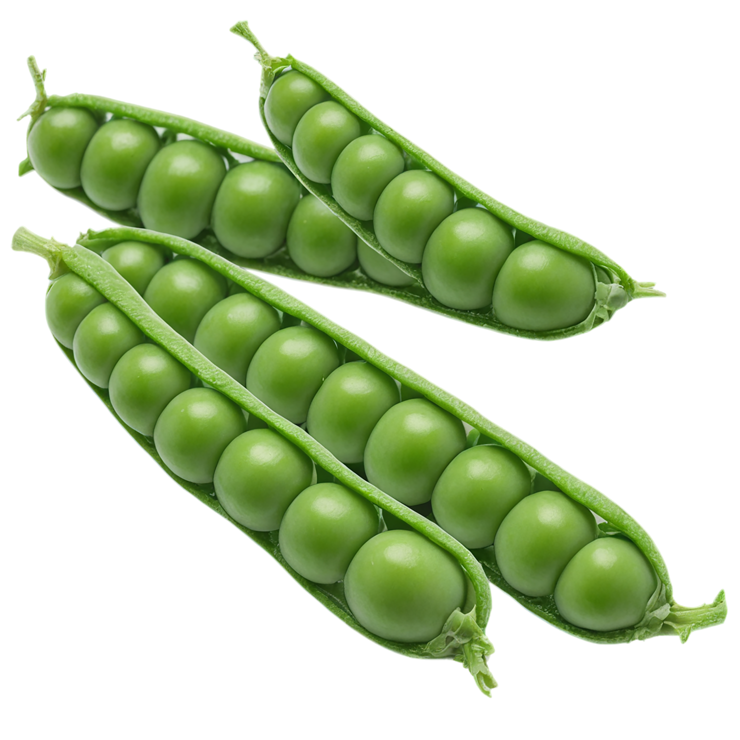 Peas proteins isolated on transparent background #8580