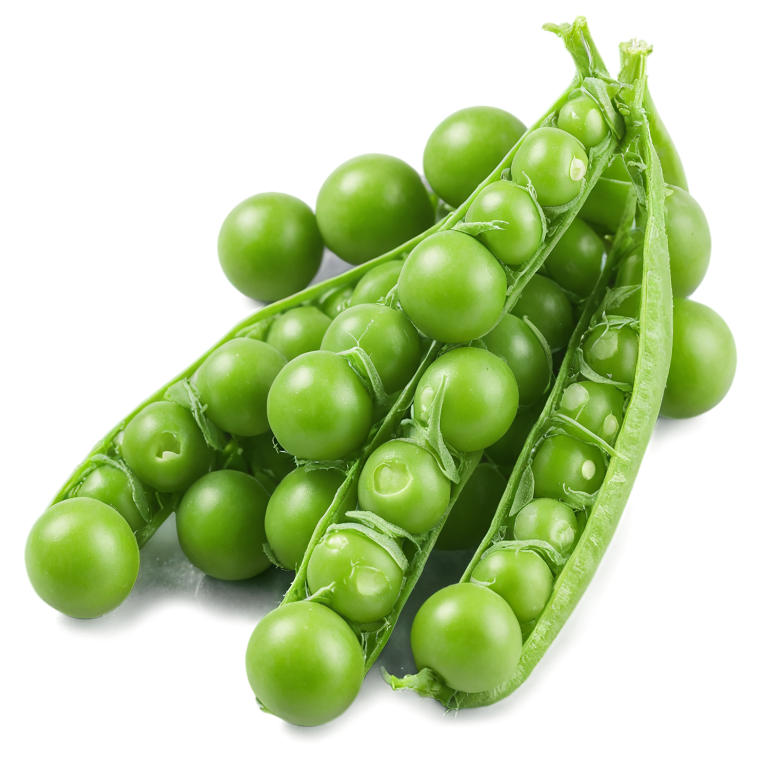 Peas proteins isolated on transparent background #8582
