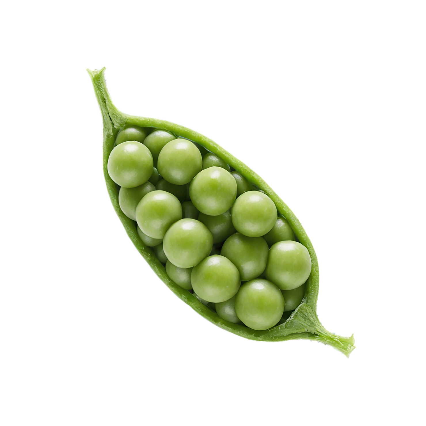 Peas proteins isolated on transparent background #8584