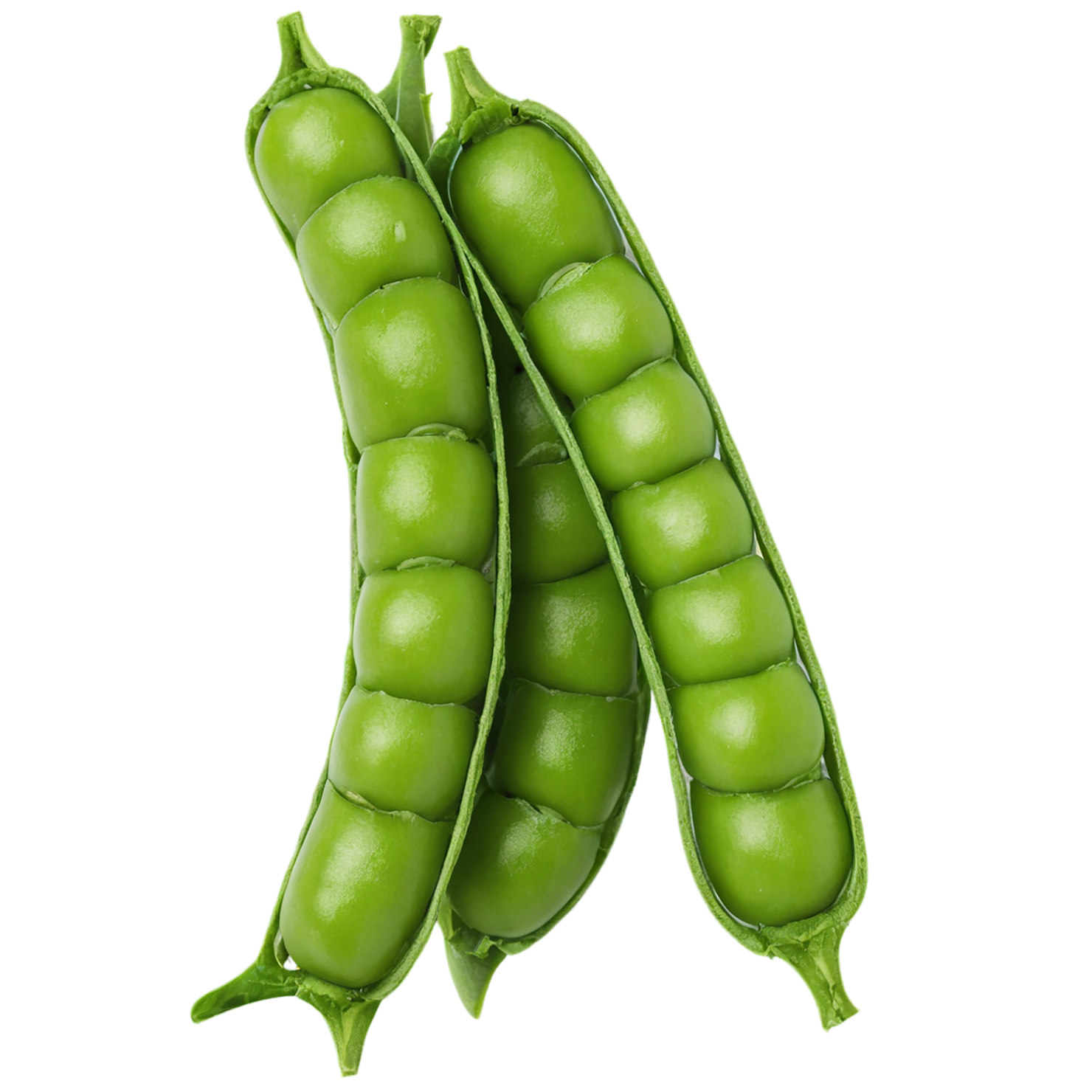 Peas proteins isolated on transparent background #8587