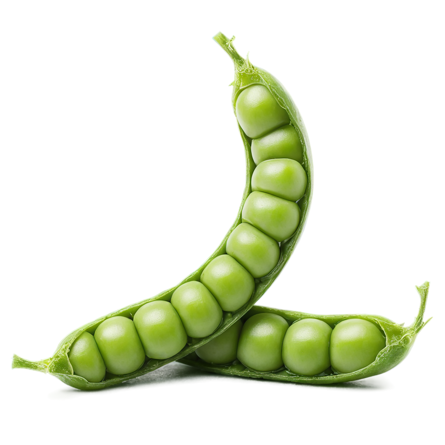 Peas proteins isolated on transparent background #8588