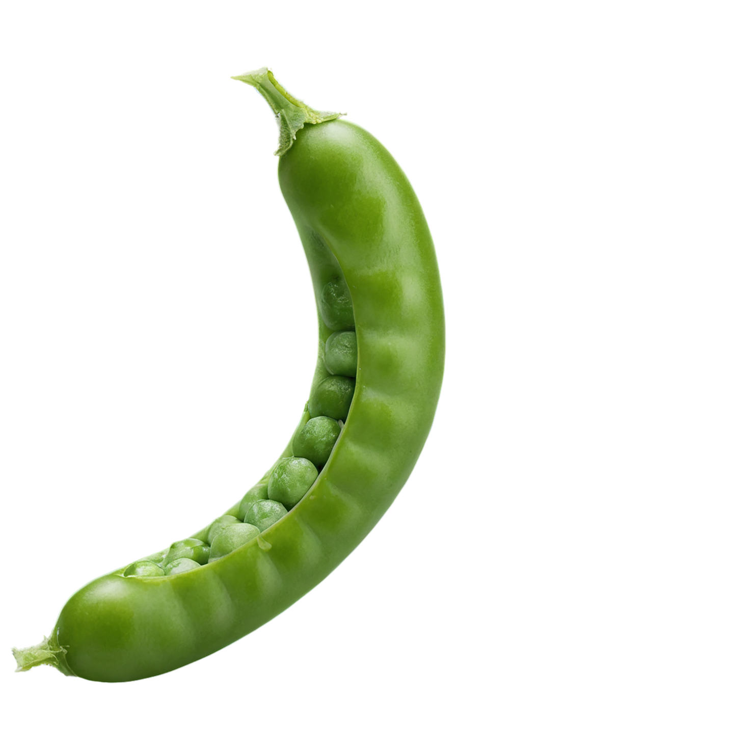 Peas proteins isolated on transparent background #8589