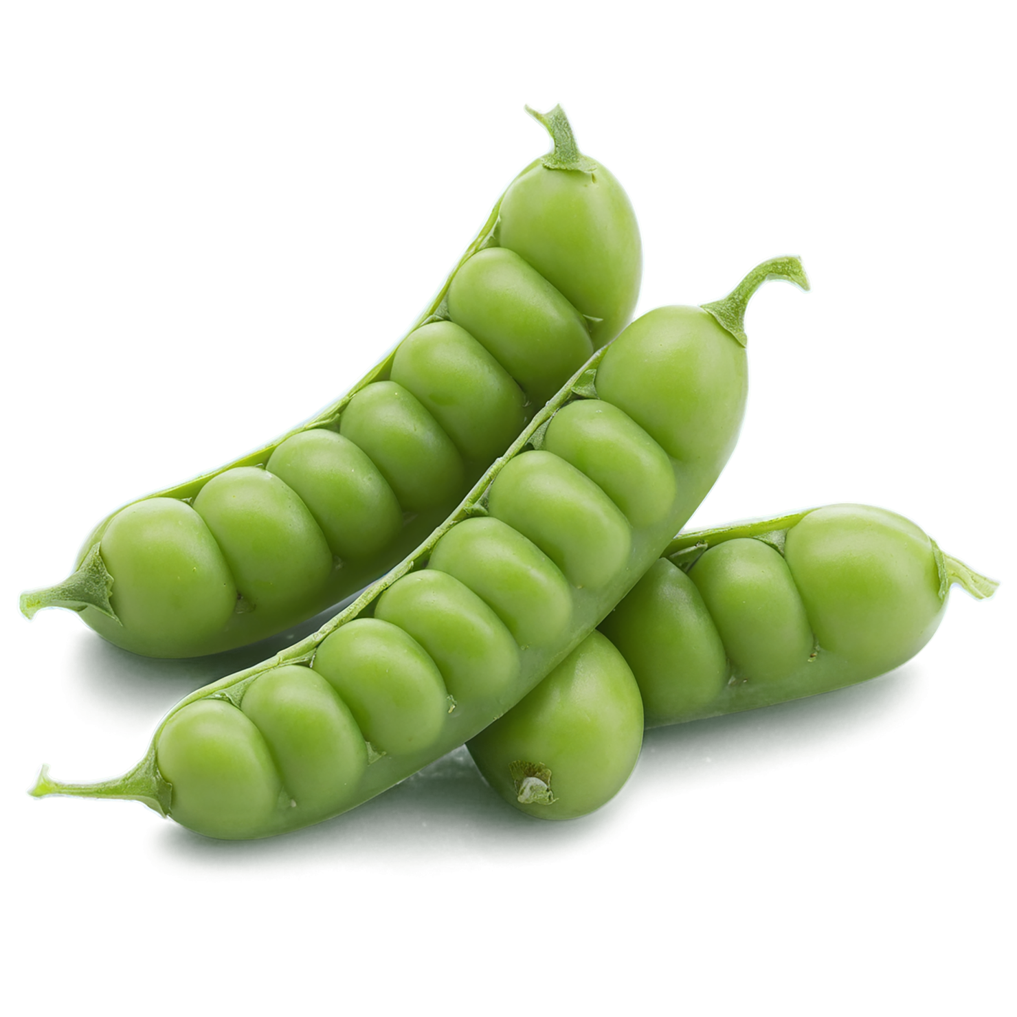 Peas proteins isolated on transparent background #8591