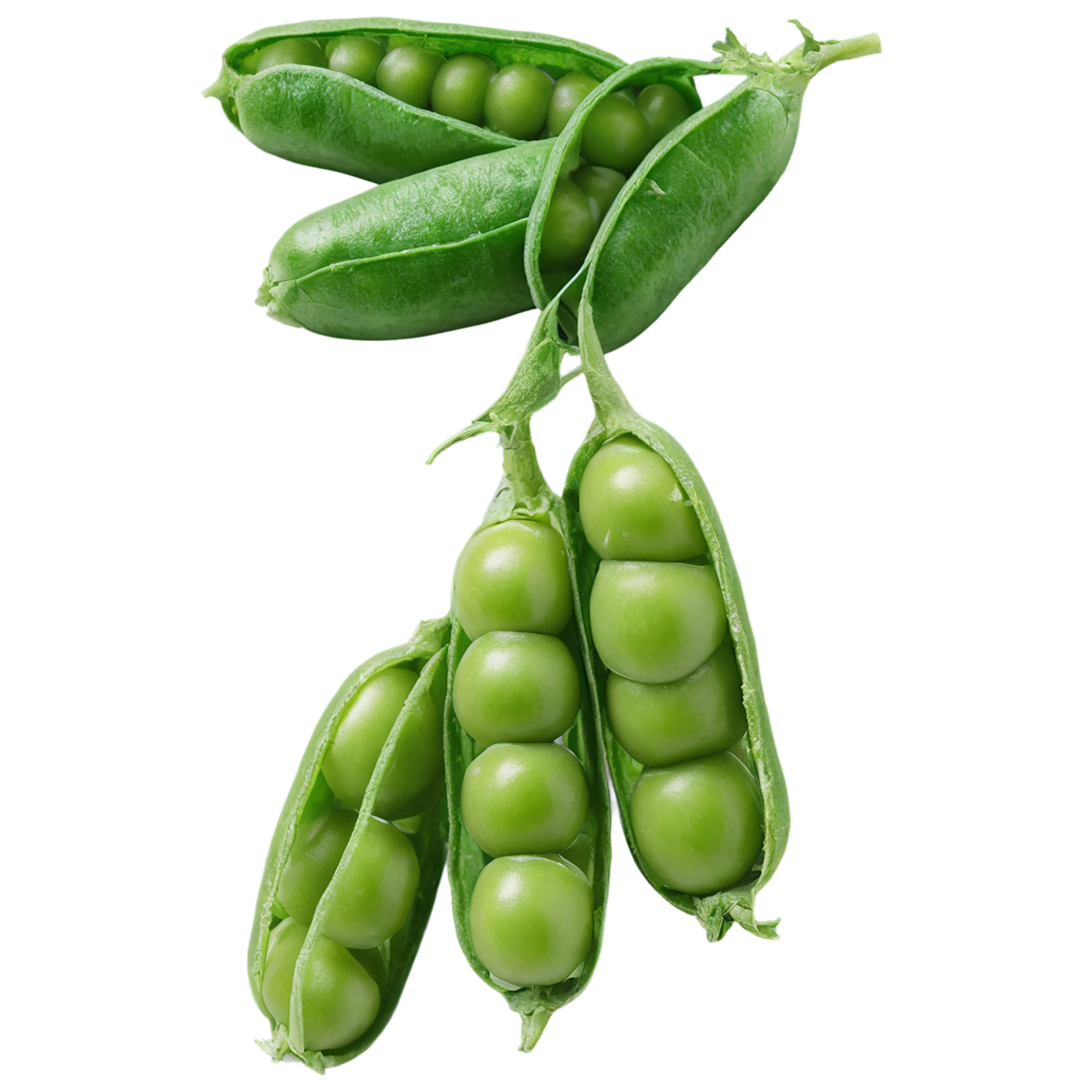 Peas proteins isolated on transparent background #8592
