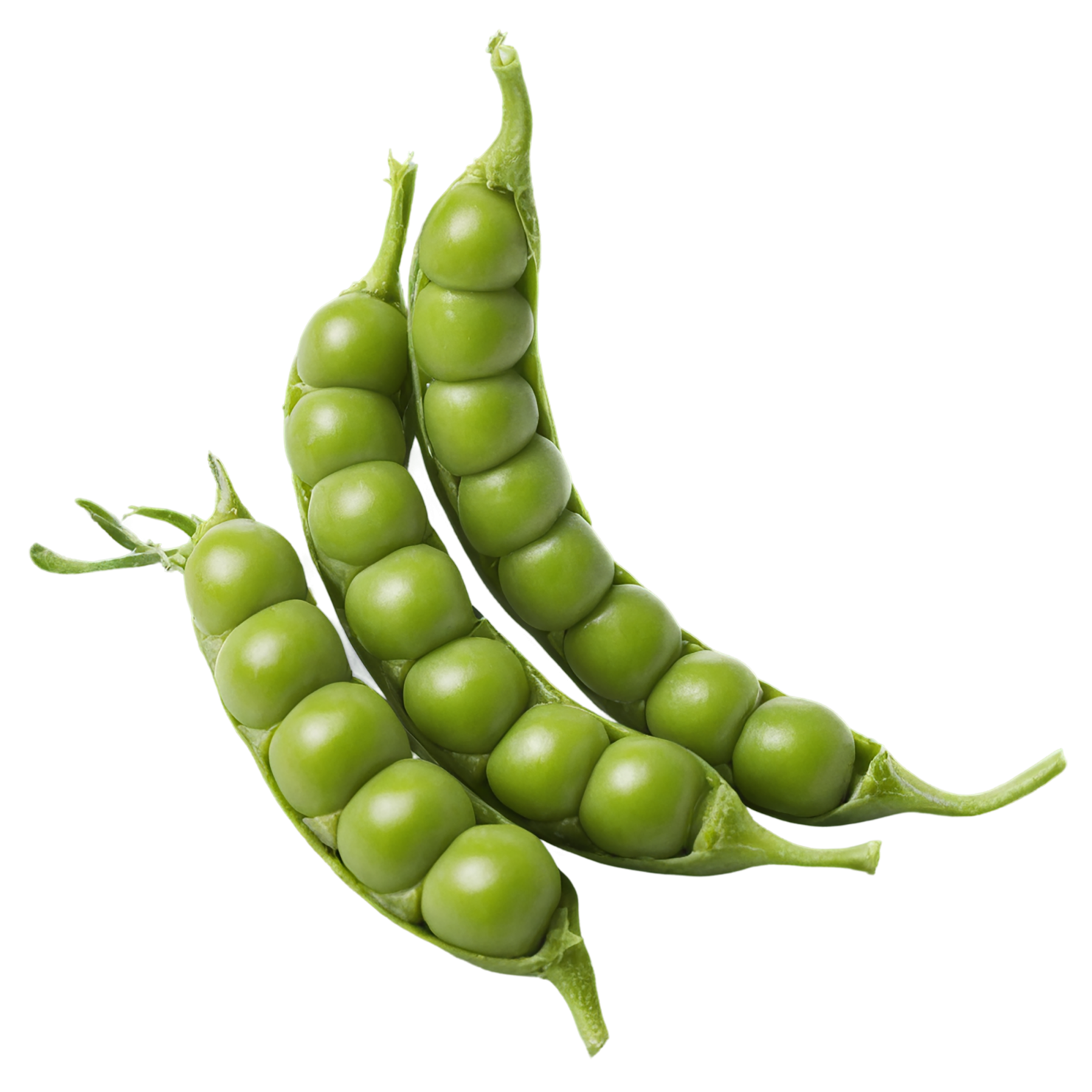Peas proteins isolated on transparent background #8594