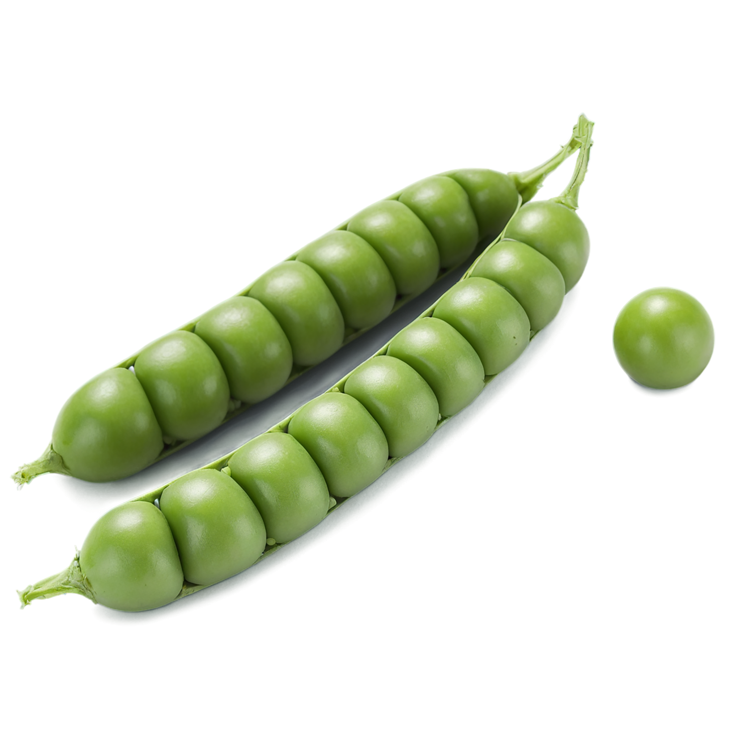 Peas proteins isolated on transparent background #8597