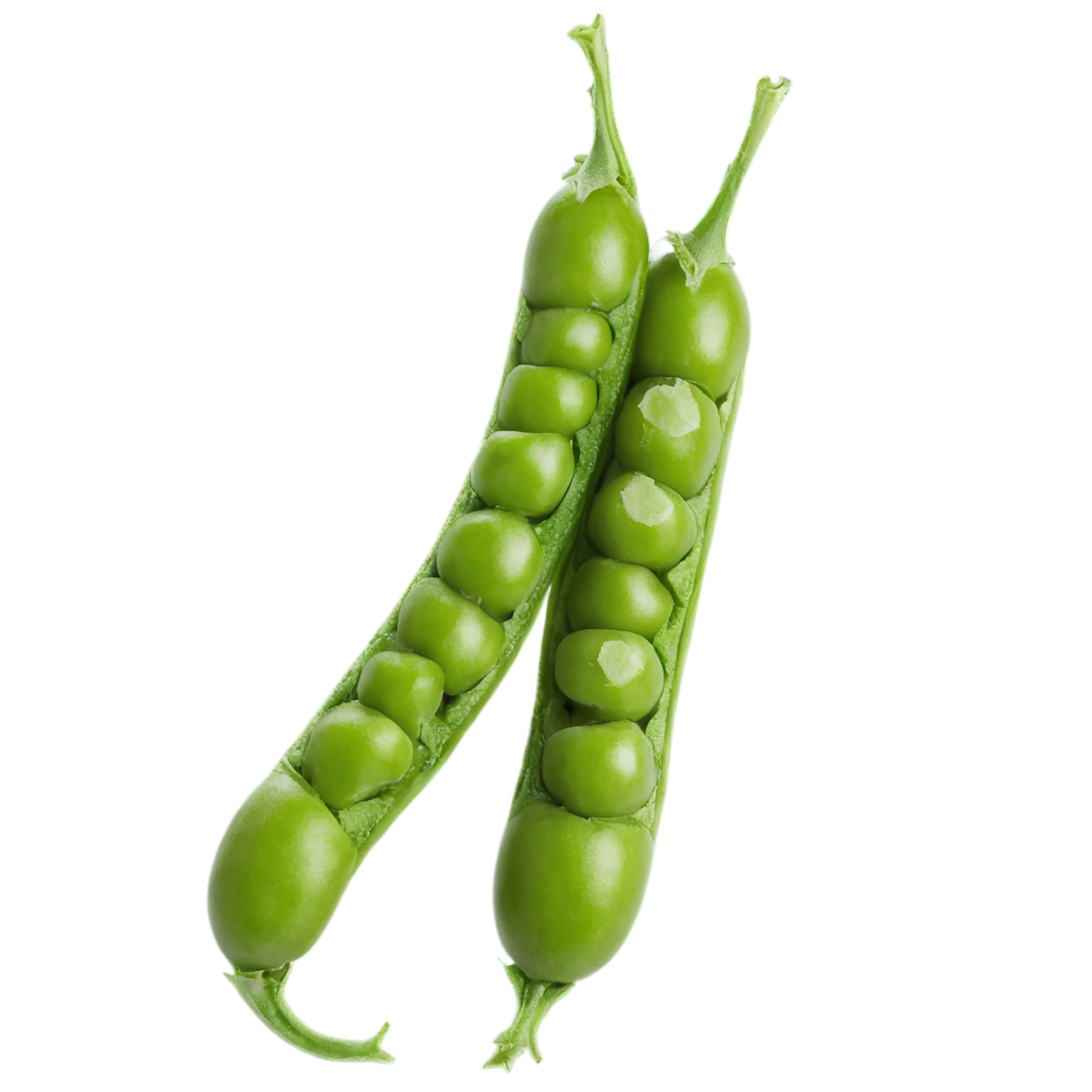 Peas proteins isolated on transparent background #8598