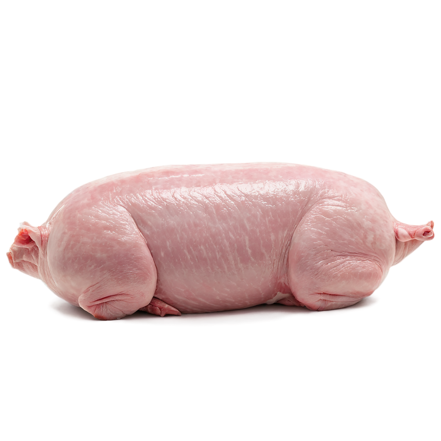 Pork meat proteins isolated on transparent background #8607