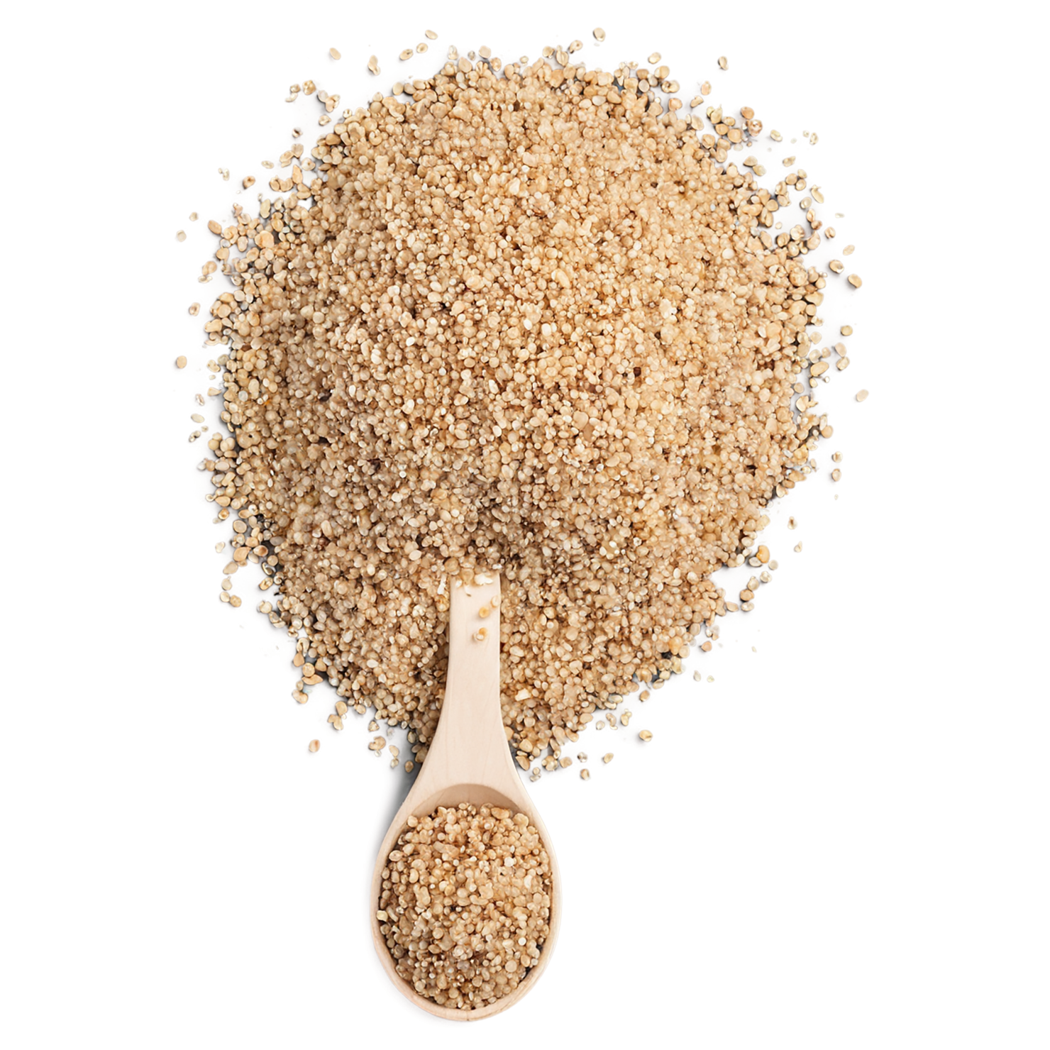 Quinoa proteins isolated on transparent background #8632