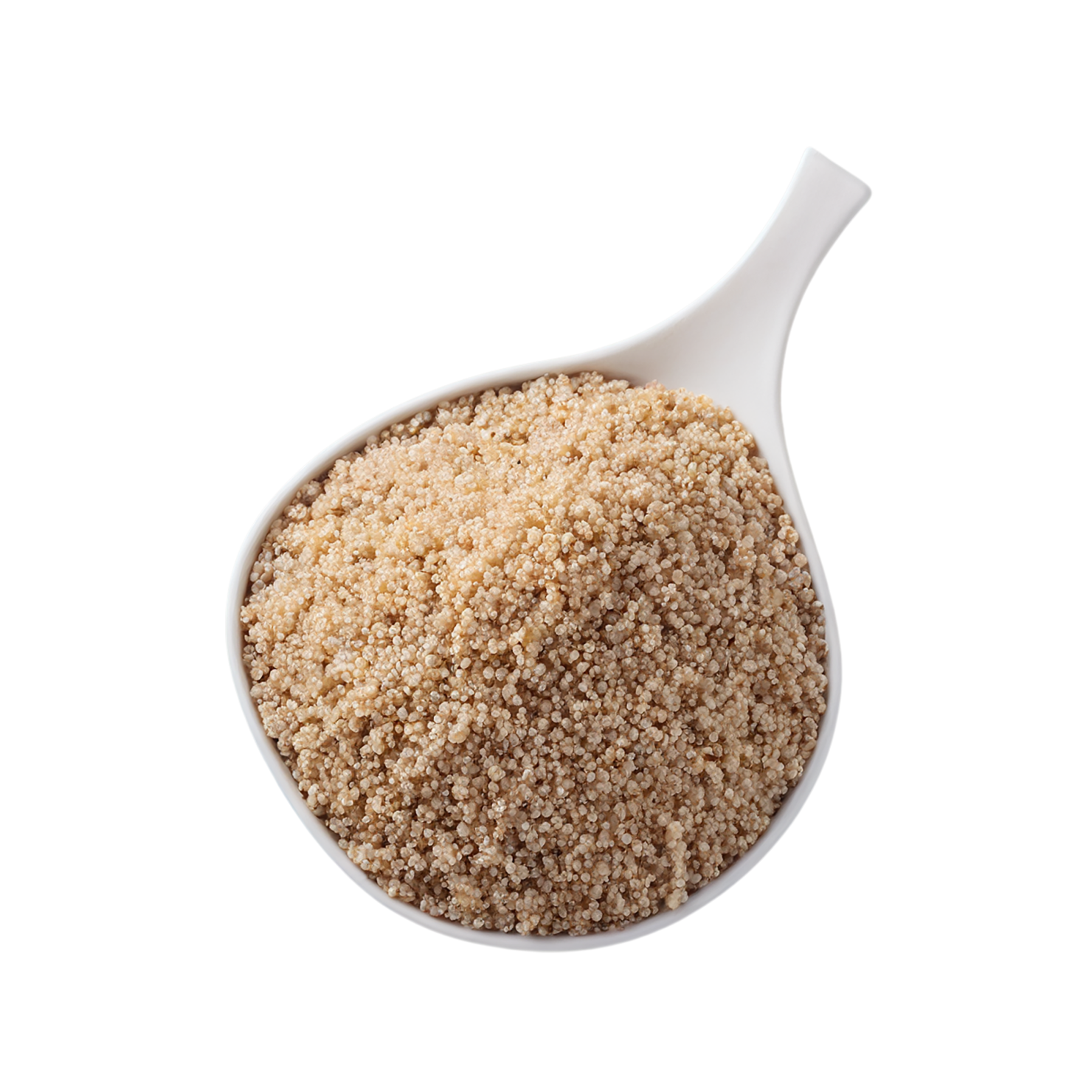 Quinoa proteins isolated on transparent background #8644