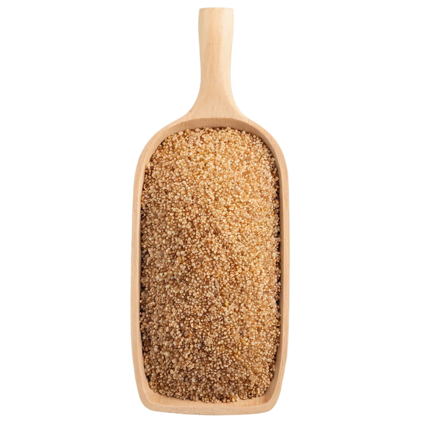 Quinoa proteins isolated on transparent background #8645