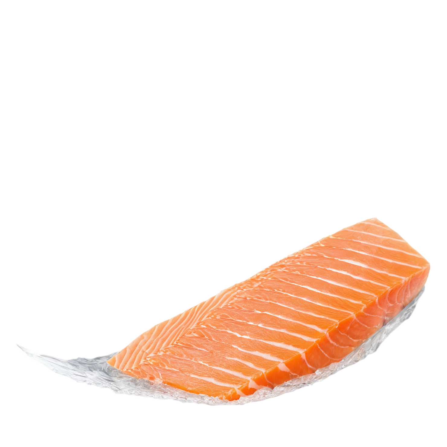 salmon fillet slice proteins isolated on transparent background #8646