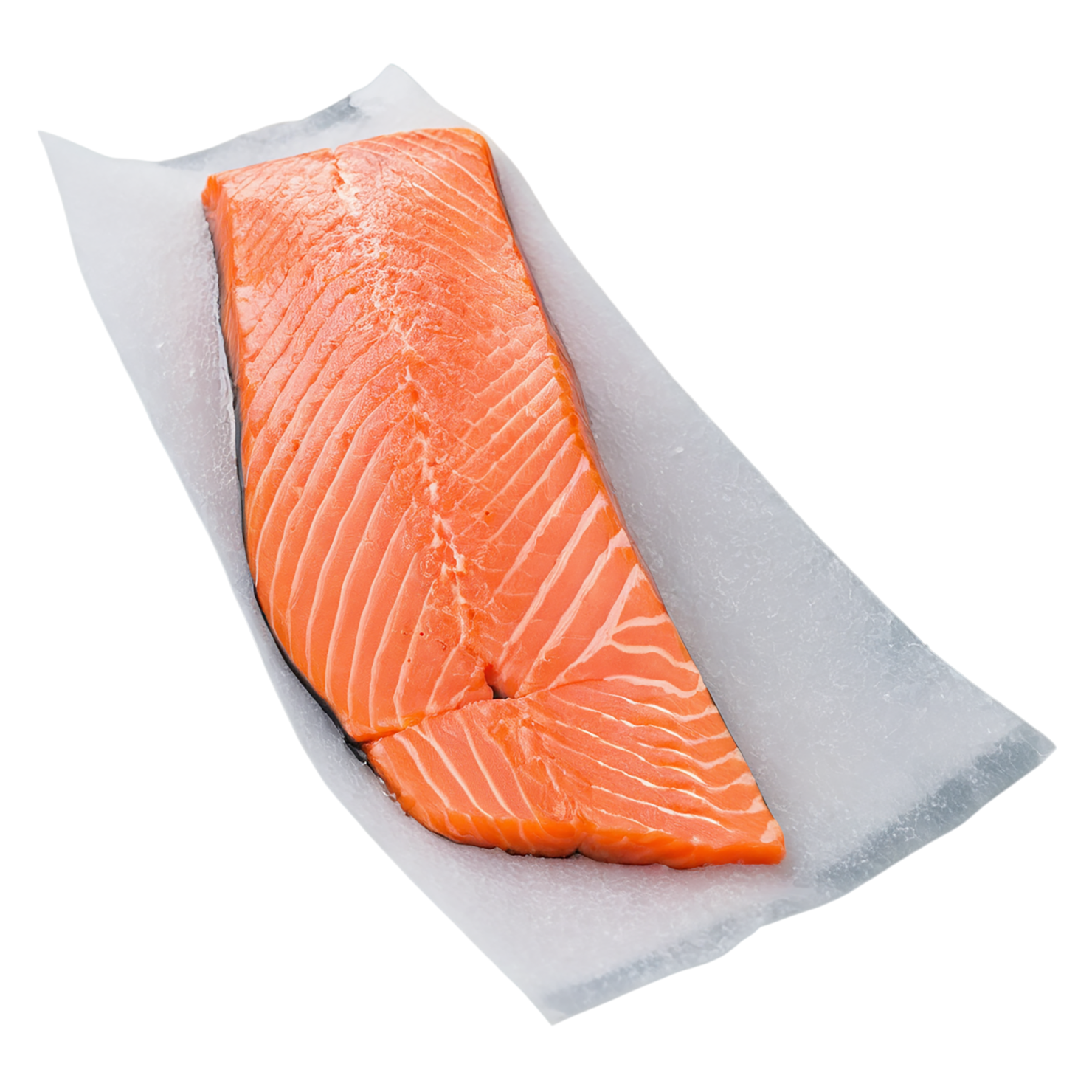 salmon fillet slice proteins isolated on transparent background #8648