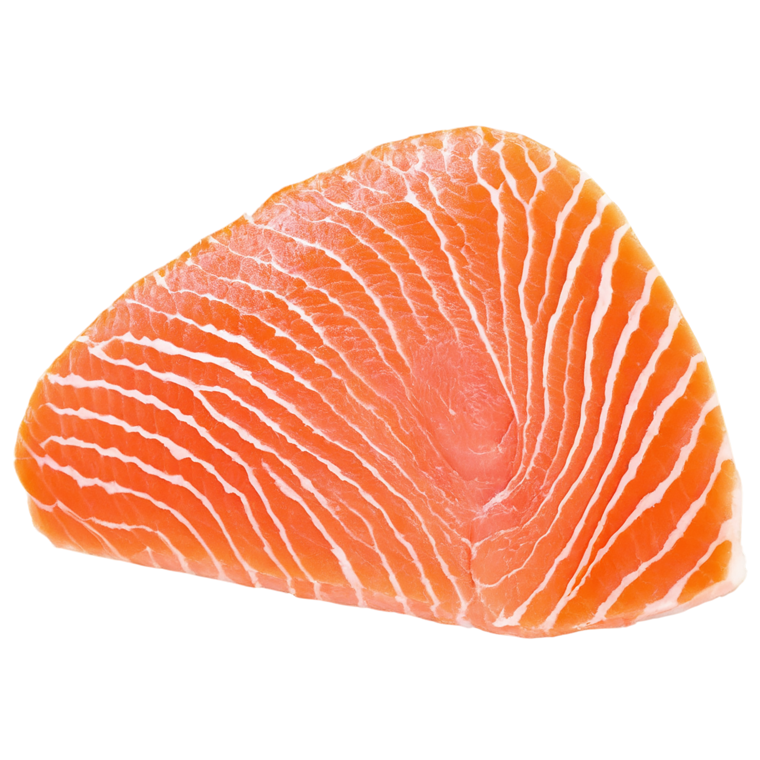salmon fillet slice proteins isolated on transparent background #8652