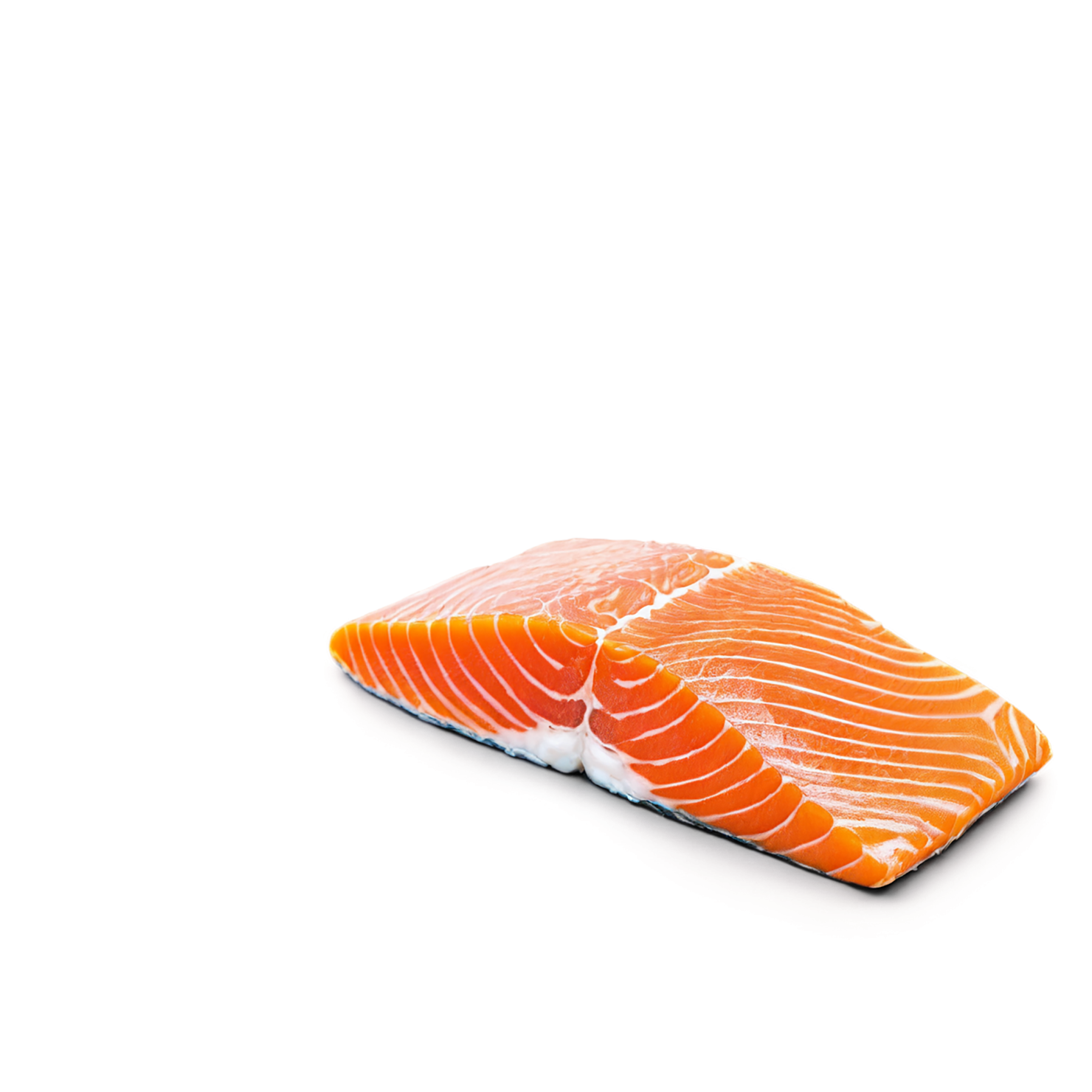 salmon fillet slice proteins isolated on transparent background #8654