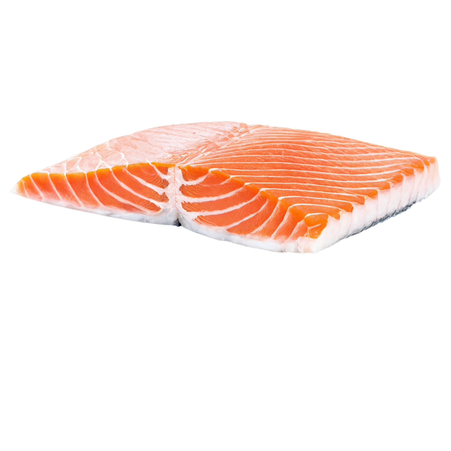 salmon fillet slice proteins isolated on transparent background #8655