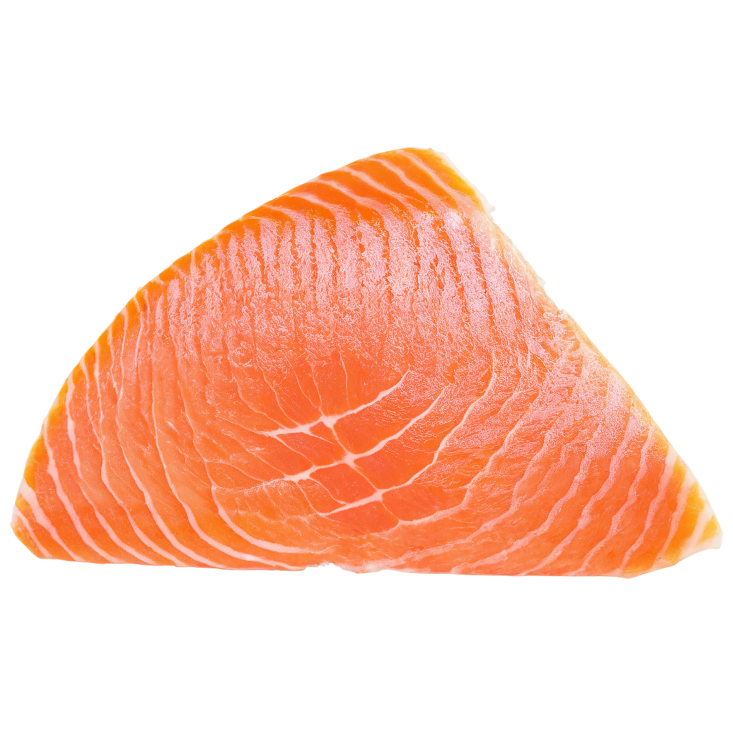salmon fillet slice proteins isolated on transparent background #8658