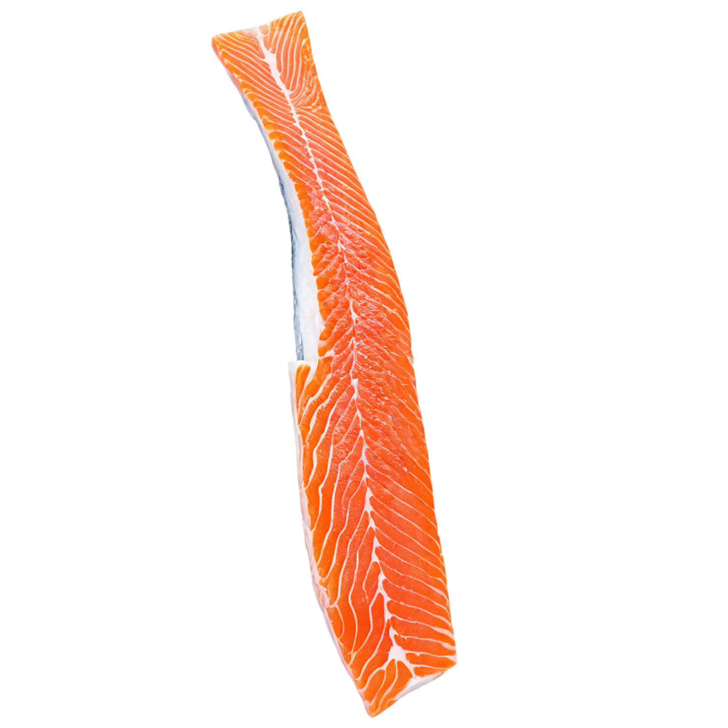 salmon fillet slice proteins isolated on transparent background #8662