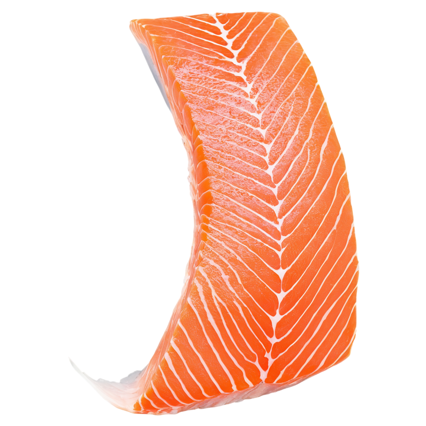 salmon fillet slice proteins isolated on transparent background #8664