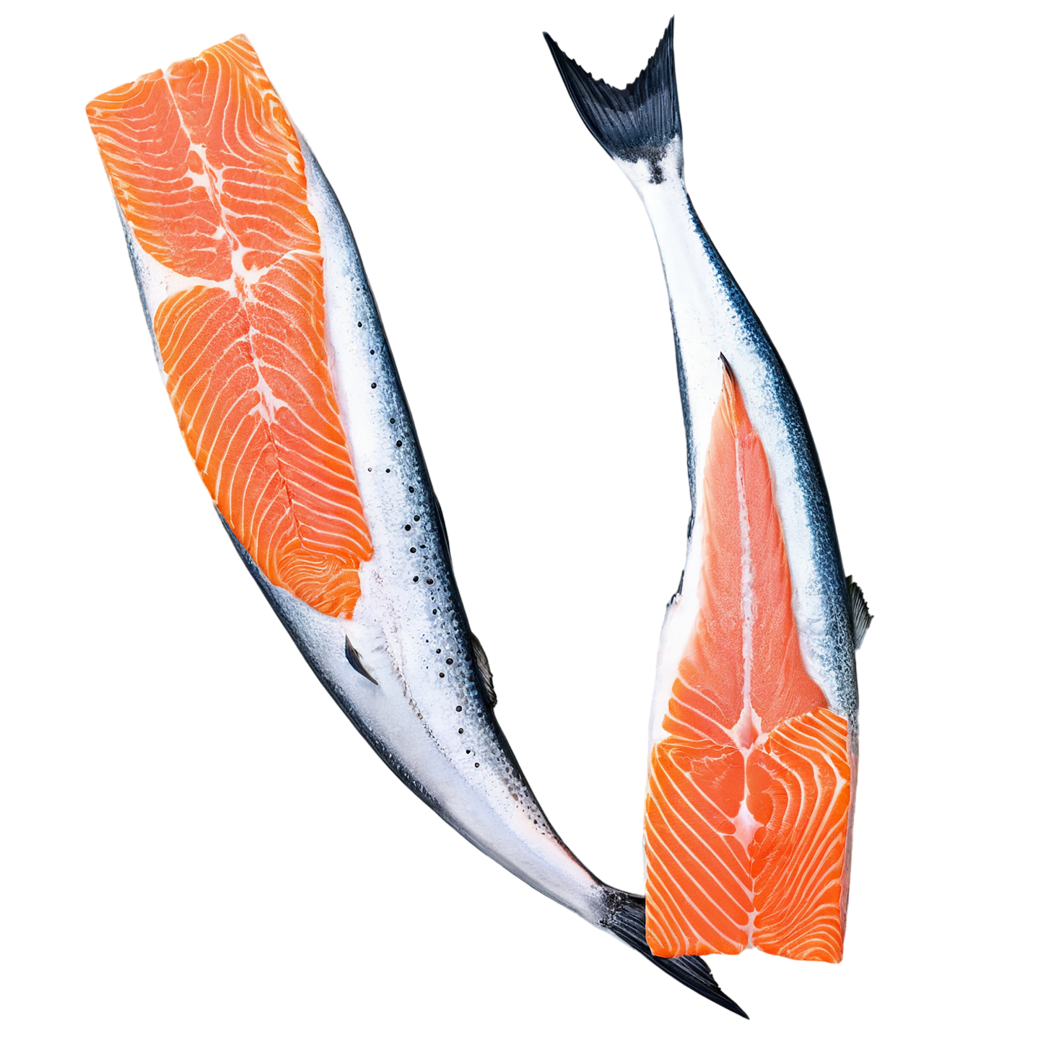 salmon fillet slice proteins isolated on transparent background #8666